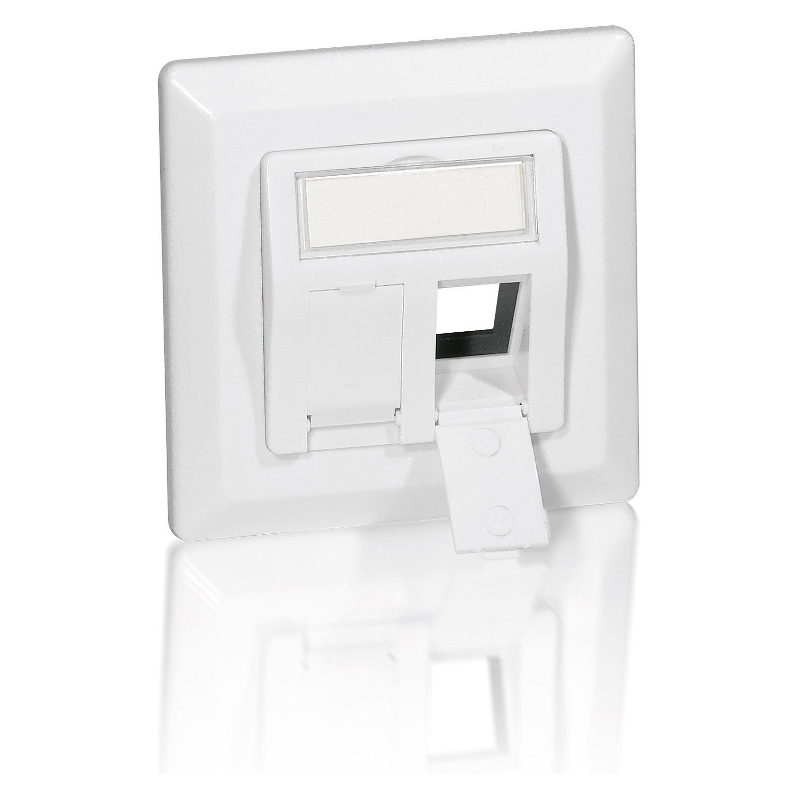 Aksesorë për rrjet Equip / Flush Mount Box + Faceplate / 2x Keystone / 45° Angle - 1