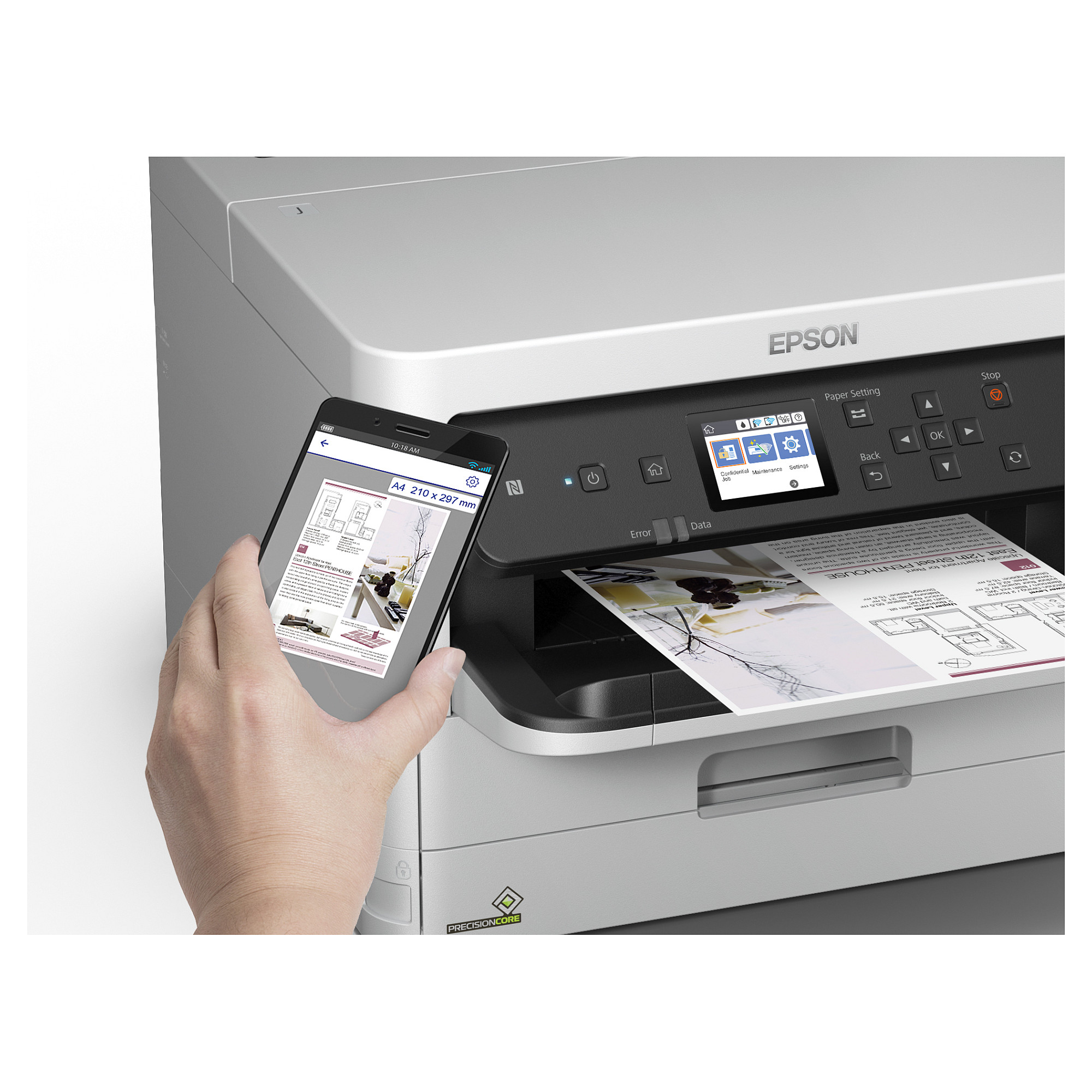 INK Epson C13T01D200 / XXL / 20.000 faqe – Blu - 8