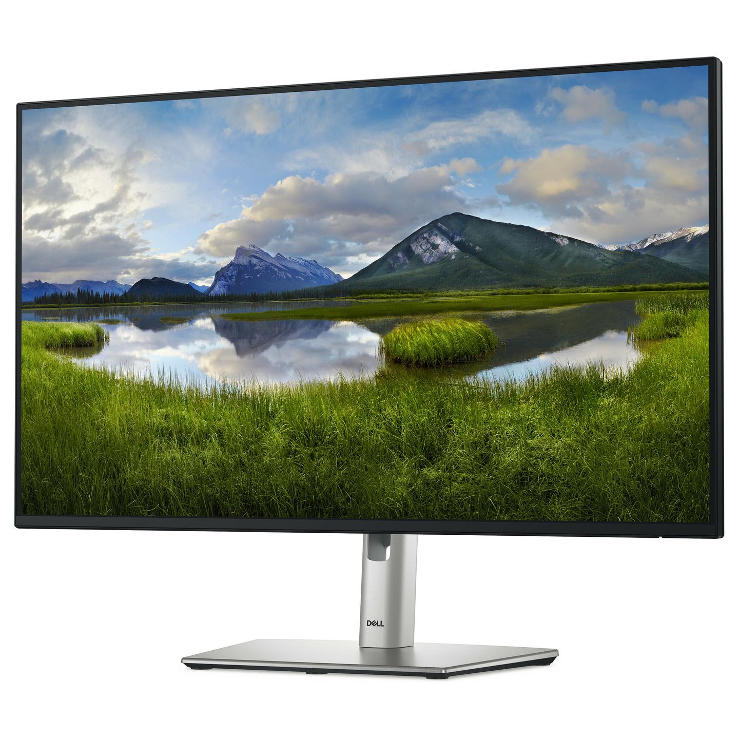 Monitor Dell Pro Plus P2725H, 27", Full HD IPS, 100Hz, 5ms, HDMI + DP + VGA + USB-C + USB-A - Zezë/Argjend - 2