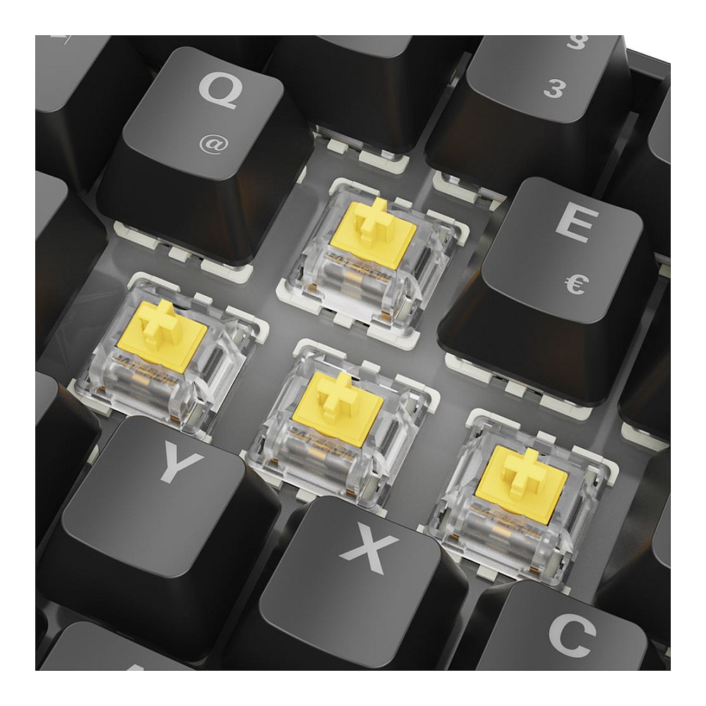 Tastierë Gaming Sharkoon SKILLER SGK50 S4 Gen2 Wired / QWERTZ / German Language – Zezë - 7