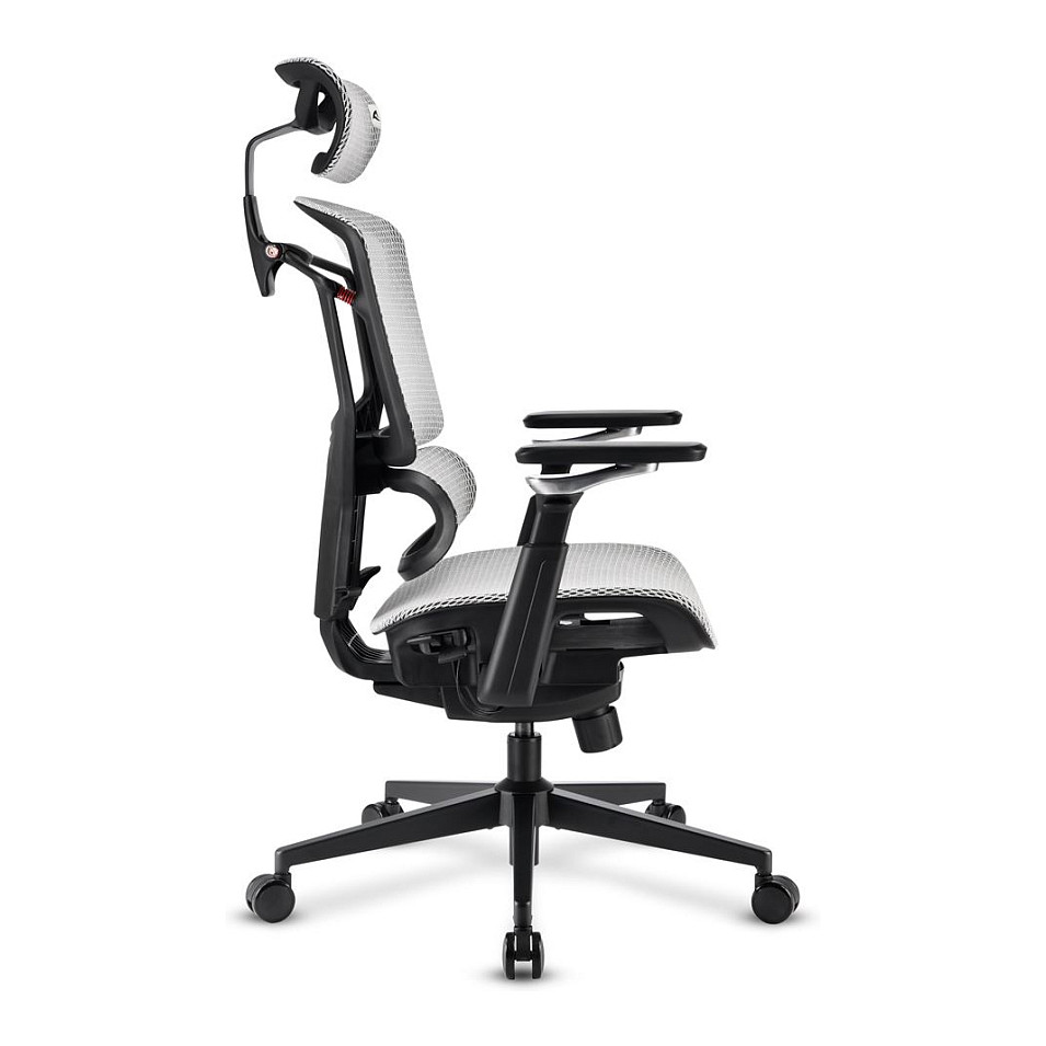 Sharkoon Brostuhl OfficePal C50M (grau) - 3
