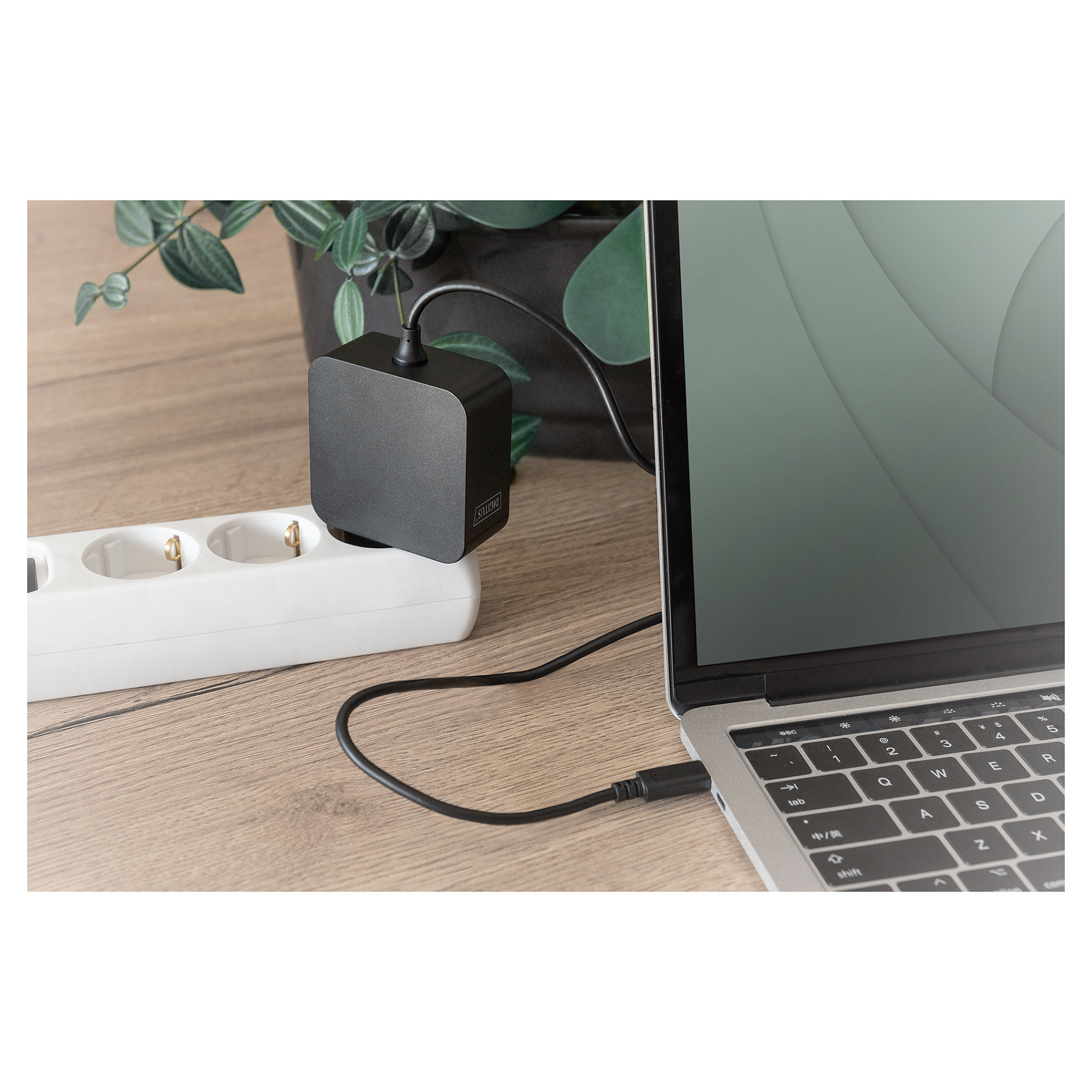 Adapter Digitus Universal Notebook Netzteil USB-C 65W 1.2m Kabel - 3