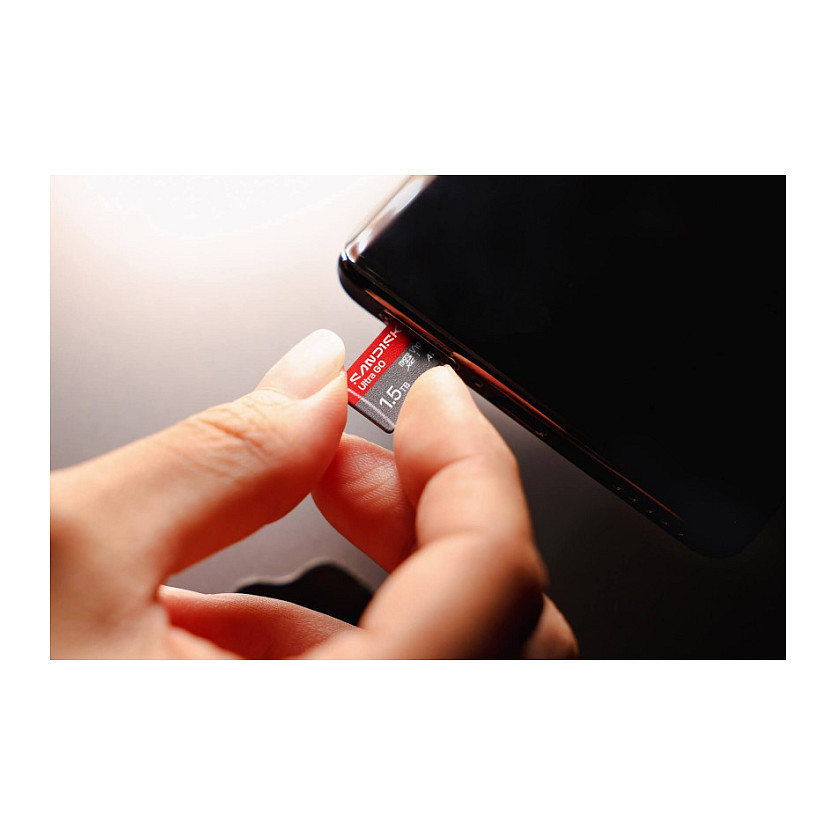 Kartë Memorie SanDisk Ultra GO / 1TB / MicroSDXC / UHS-I / V10 - 2