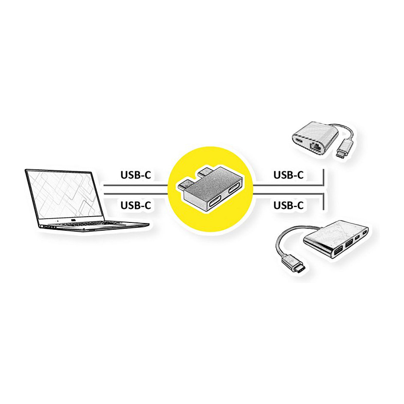 Adapter ROLINE 12.03.2945 / 2x USB-C në 2x USB-C / USB 3.2 Gen 2 / 10Gbps – Argjend - 2