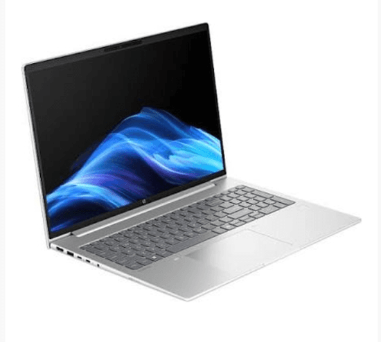 Laptop HP ProBook 4 G1ah / Ryzen 5 220 / 16GB DDR5 / 1TB / 16" WUXGA IPS 300nits 60Hz / AMD Radeon 740M - Argjend - 2