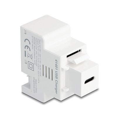 Modul Keystone DeLOCK 41481, USB-C për karikim, Power Delivery 20 W - Bardhë