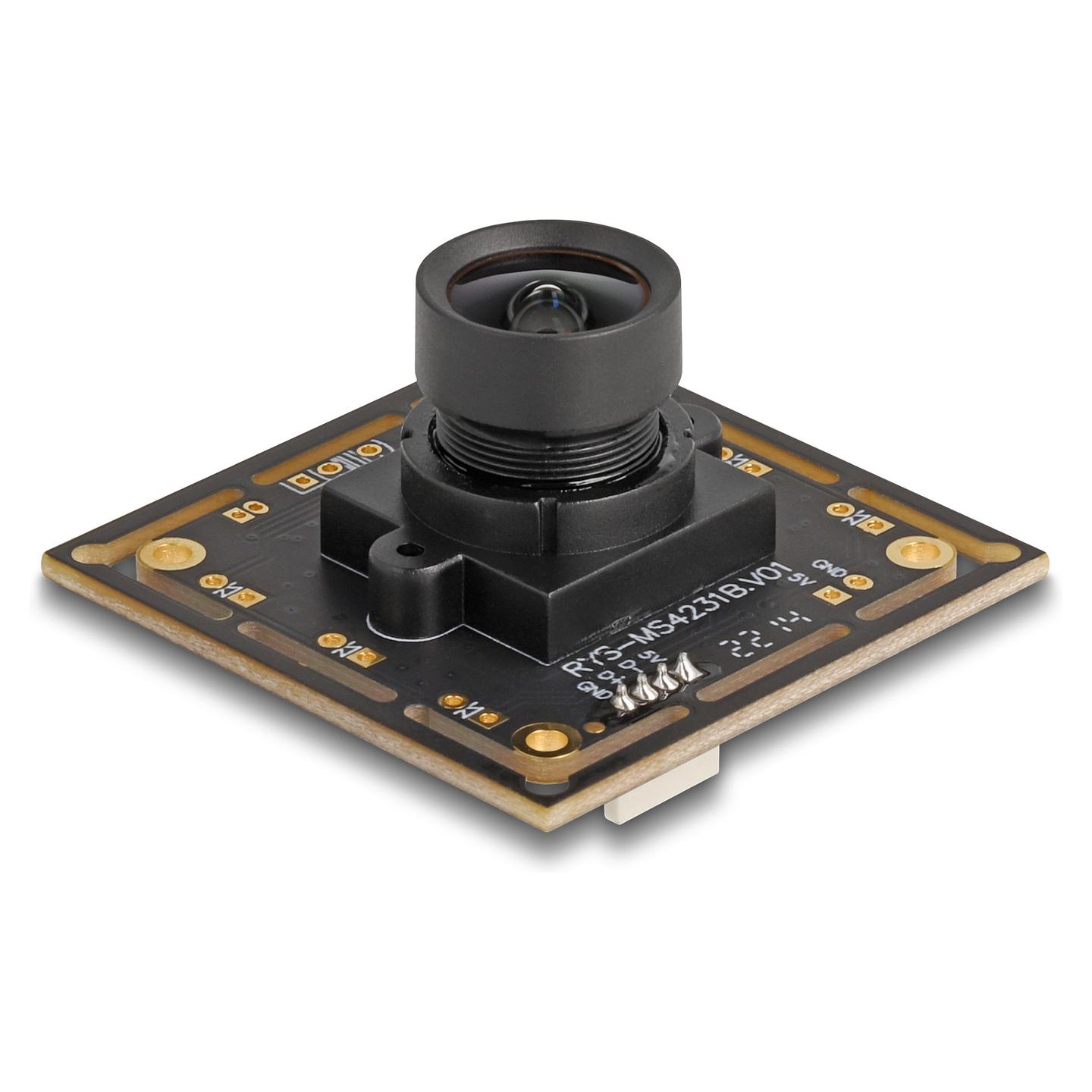 Webcam DeLOCK 12064 / Full HD 1920x1080 / 2.1 MP / USB 2.0 / CMOS - Zezë - 2