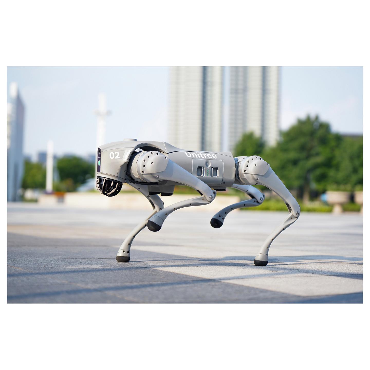 Robot Katërkëmbësh Unitree Go2 Air - Argjendi - 9
