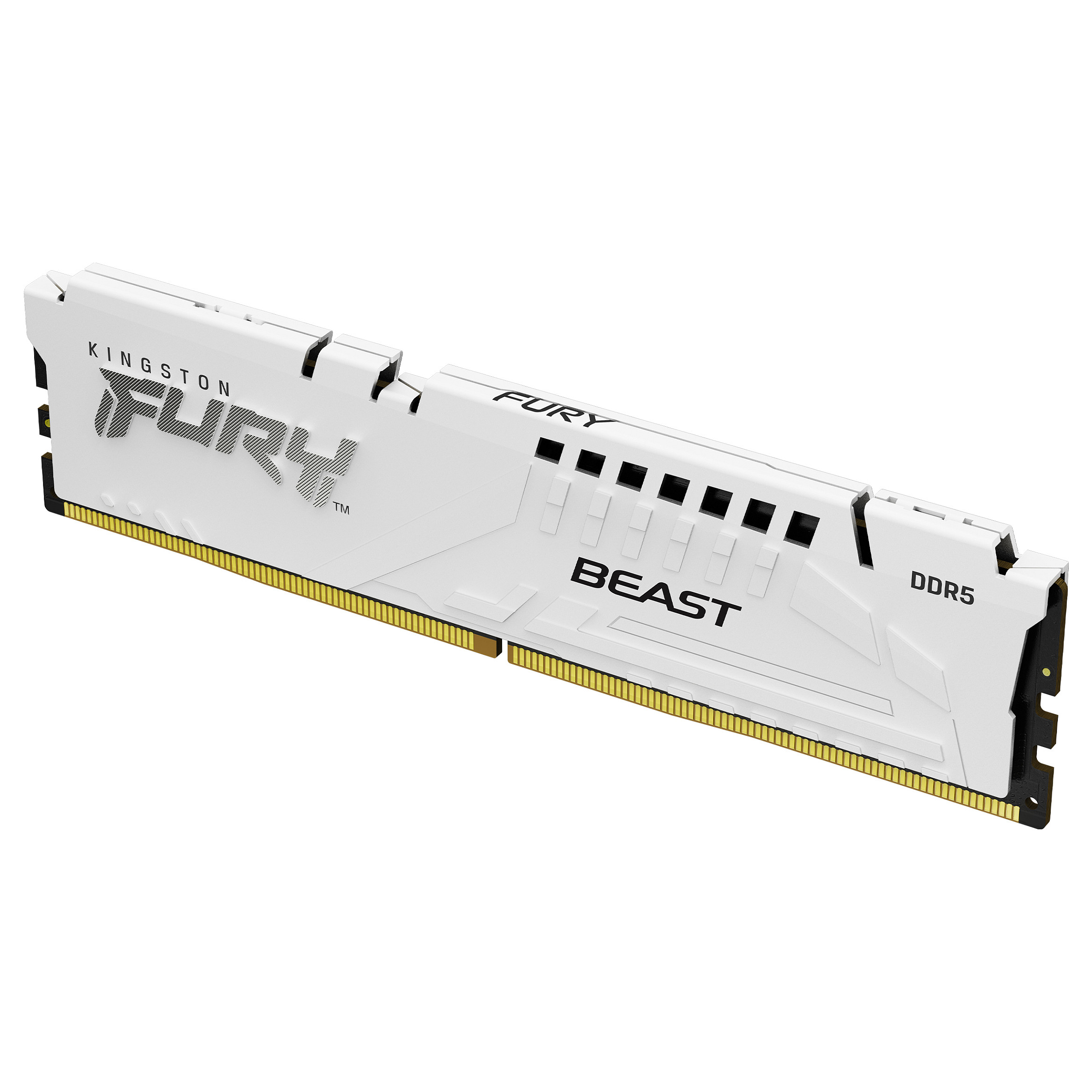 RAM Memorie DDR5 Kingston FURY Beast / 16GB  / DIMM / 5600MT/s / 288-pin - Bardhë