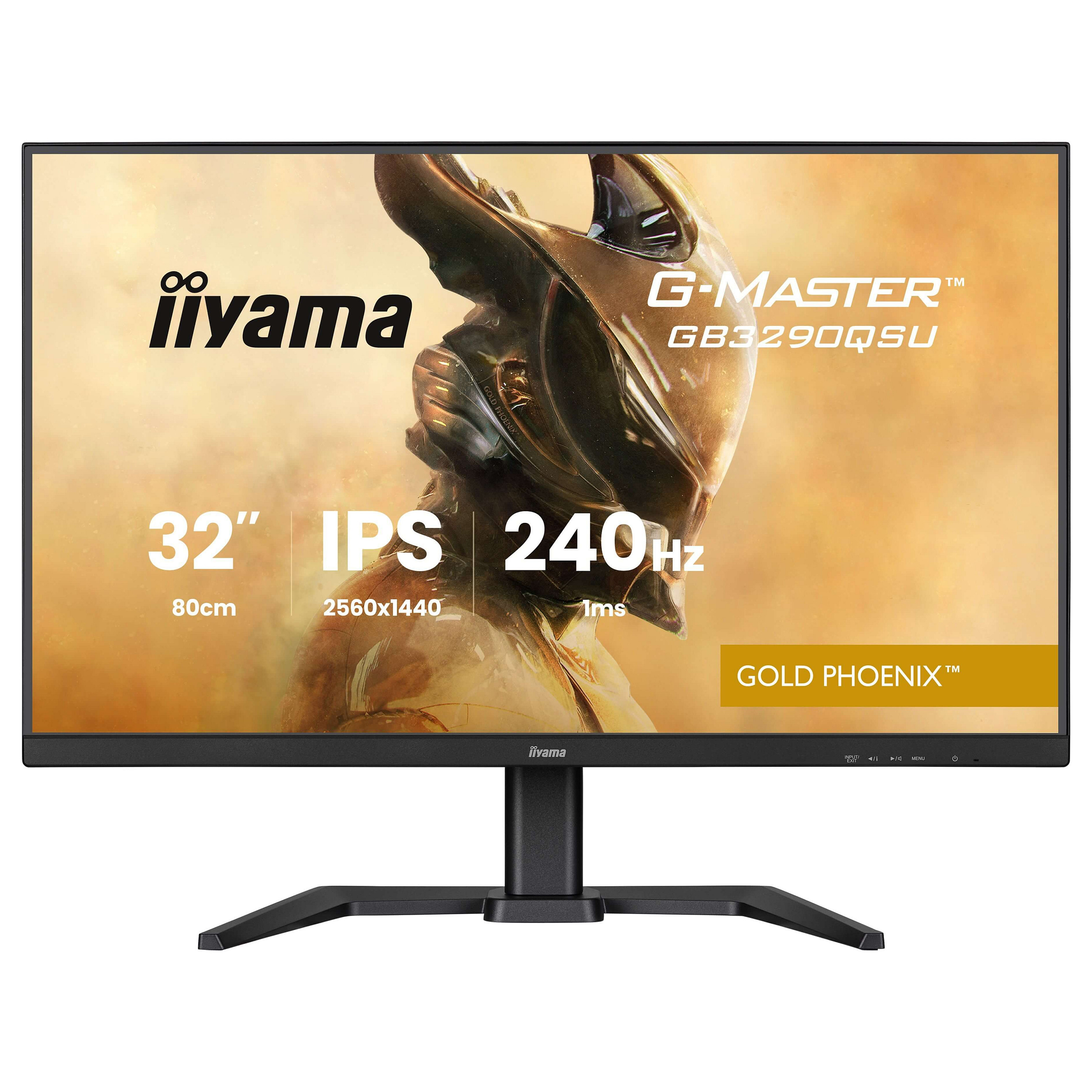 IIYAMA 80.0cm (31.5") GB3290QSU-B1 16:9 2xHDMI+DP+2xUSB-C - 4