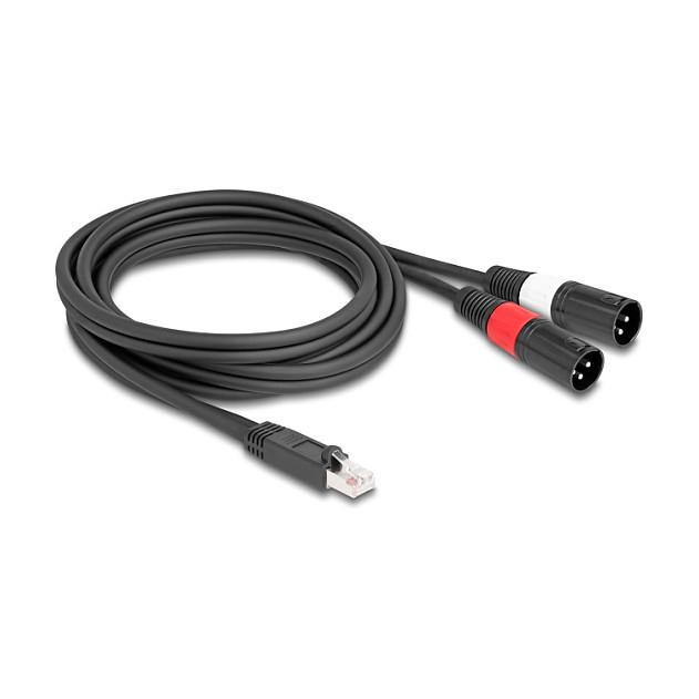Kabllo Audio DeLOCK 88173, RJ45 mashkull në 2 x XLR 3-pin mashkull, Cat.5, 2 m - Zezë - 1