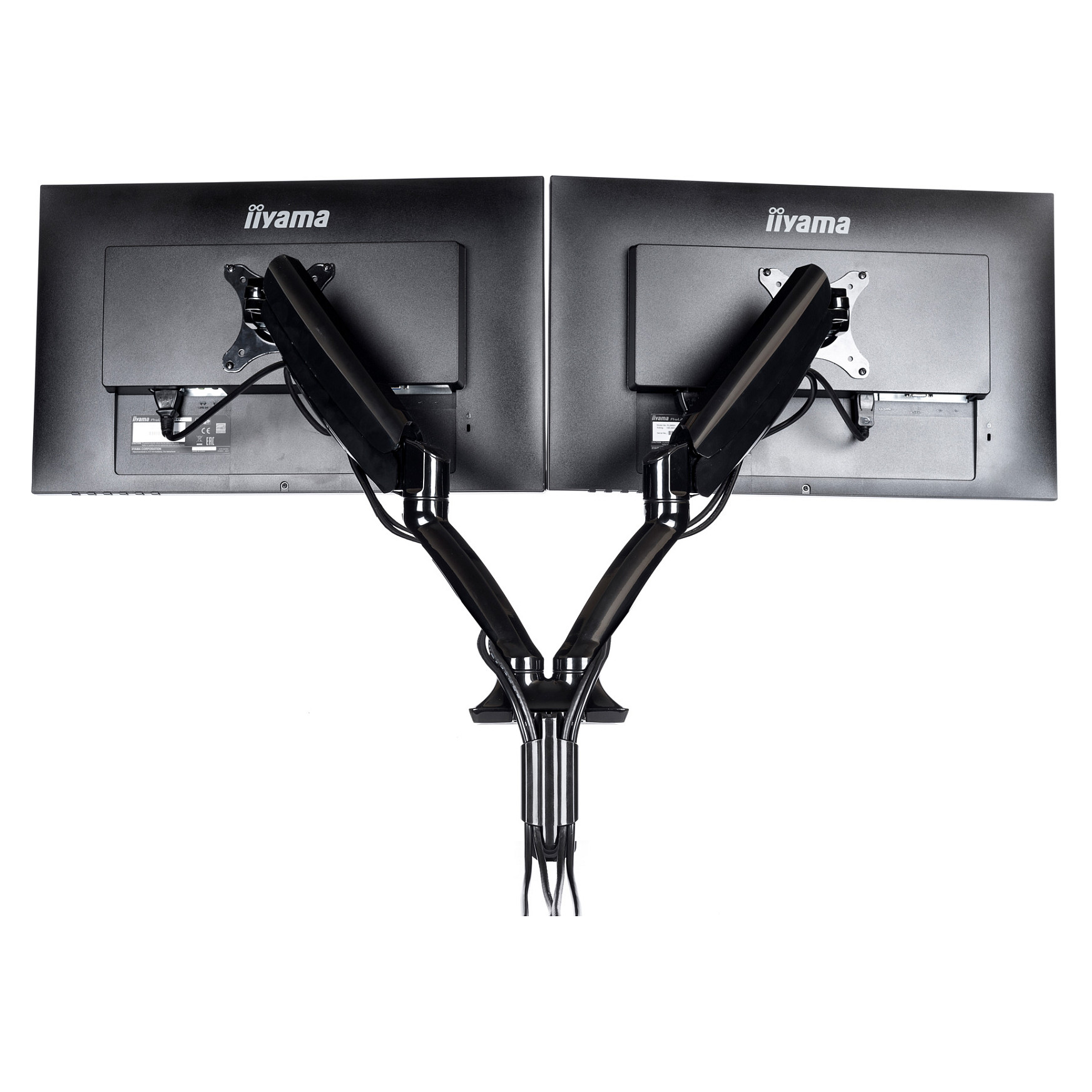 Mbajtëse për Monitor IIYAMA / Table Clamp Duo / 100x100 - Zezë - 15