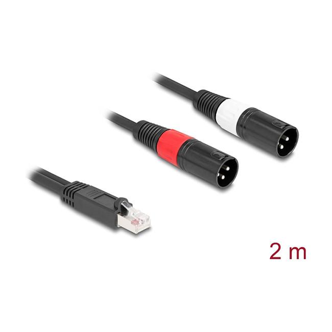 Kabllo Audio DeLOCK 88173, RJ45 mashkull në 2 x XLR 3-pin mashkull, Cat.5, 2 m - Zezë - 2