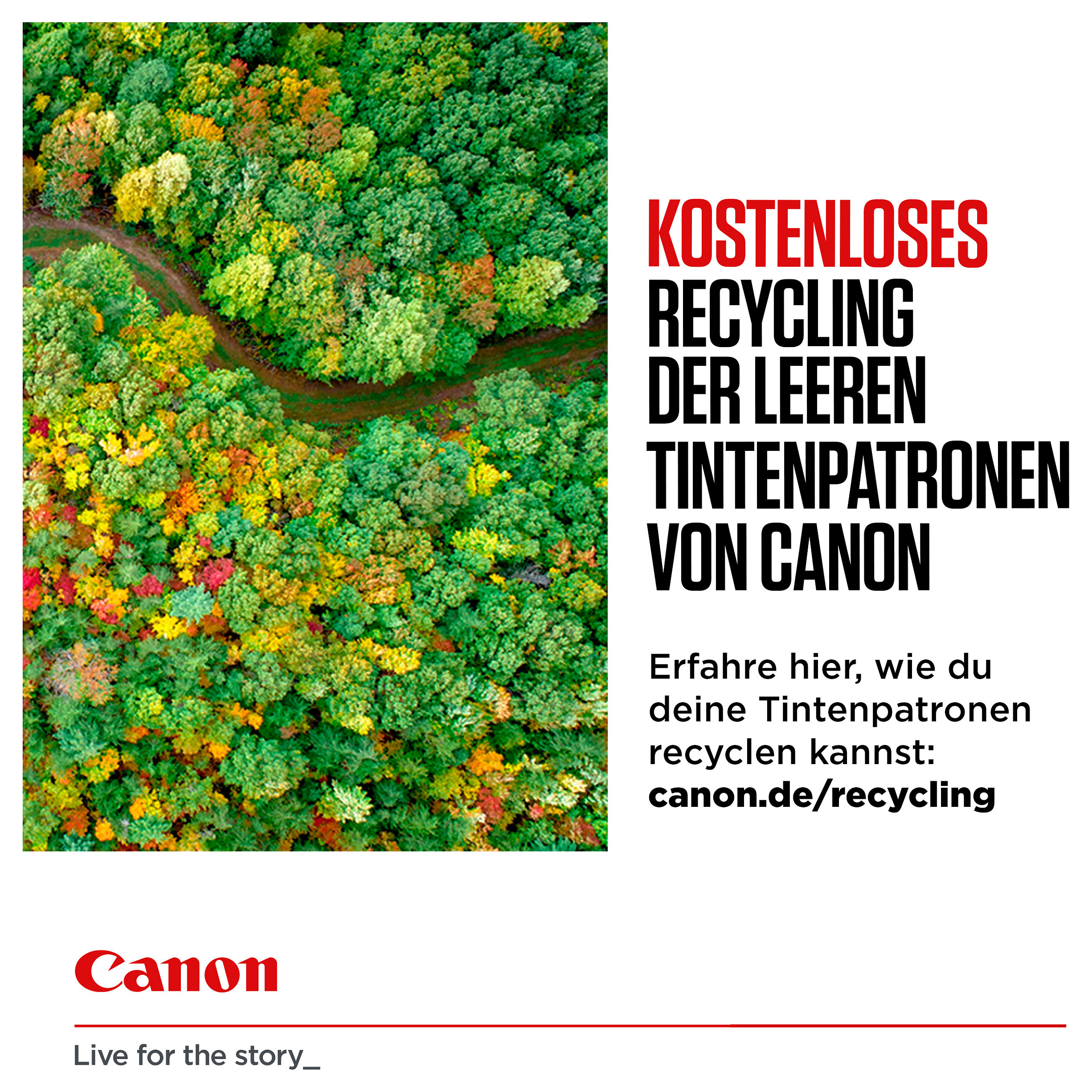 Toner Canon Tinte PG-545 8287B001 Zi deri në 180 faqe sipas ISO/IEC 24734 - 3