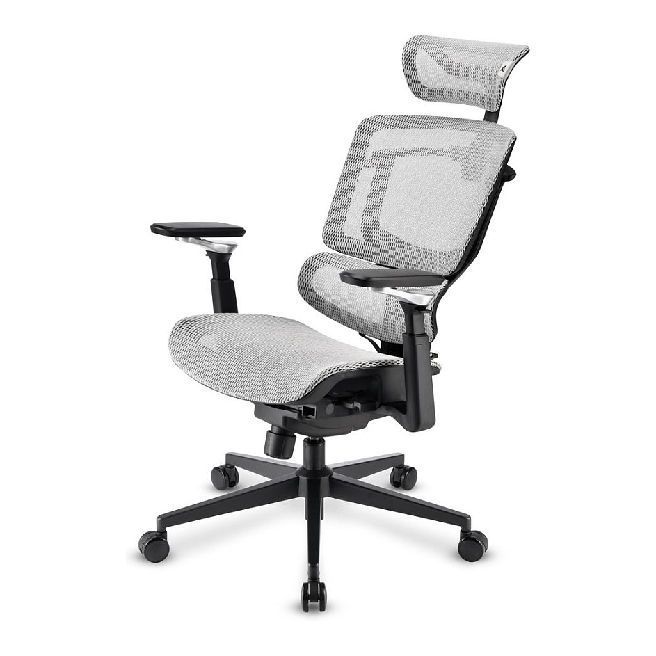 Sharkoon Brostuhl OfficePal C50M (grau) - 4