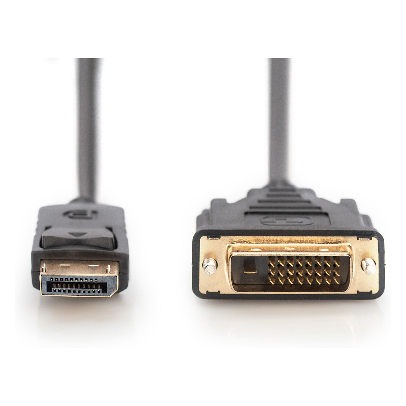 Kabllo DisplayPort DIGITUS to DVI (24+1) Cable Male/Male 8K 3m / Bulk - 2