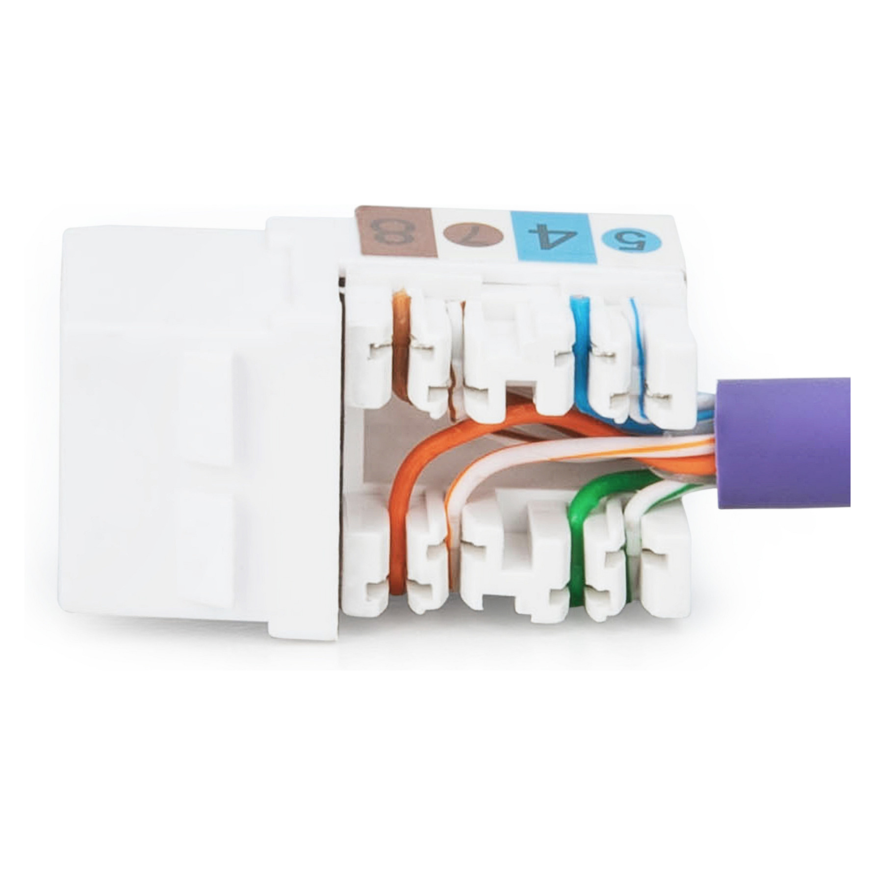 Aksesorë për rrjet DIGITUS / Jack / Cat 6 / RJ45 – LSA - 8