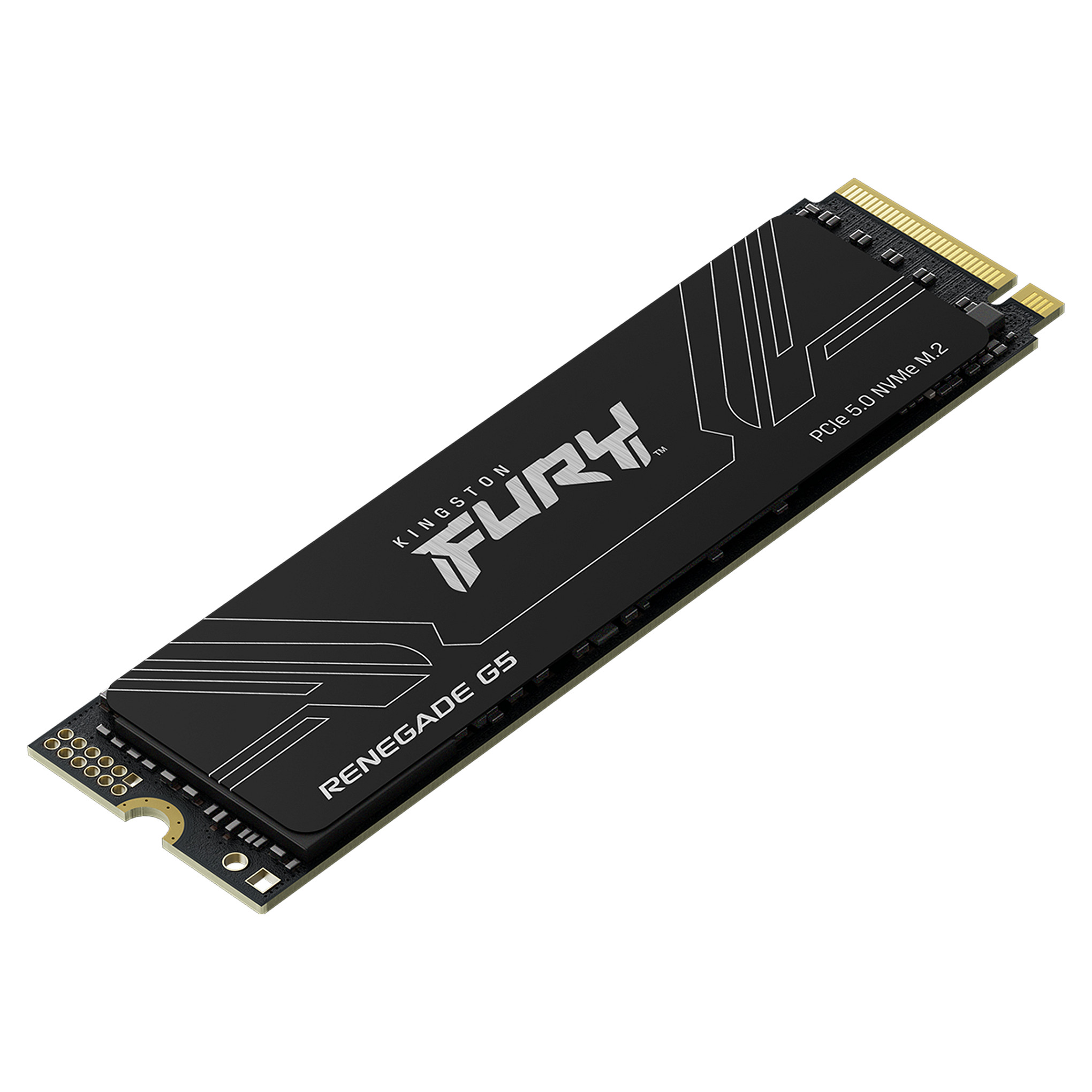 SSD të Brendshme 4TB M.2 FURY RENEGADE G5 2280 - 3