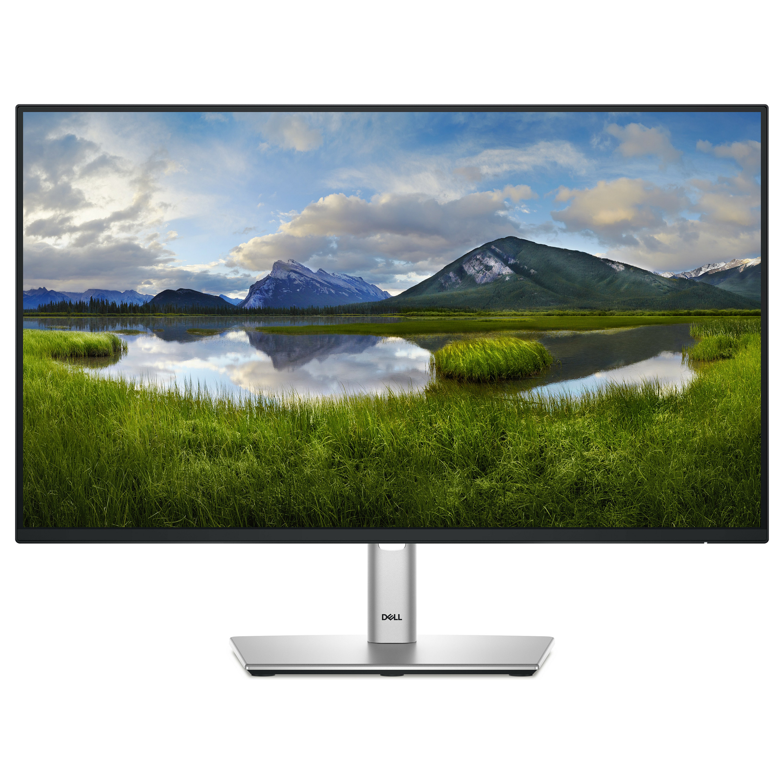 Monitor Dell P2425H / 23.8"/ Full HD IPS / 100Hz / 5ms / HDMI+DP+VGA+USB - Zezë / Argjend - 1