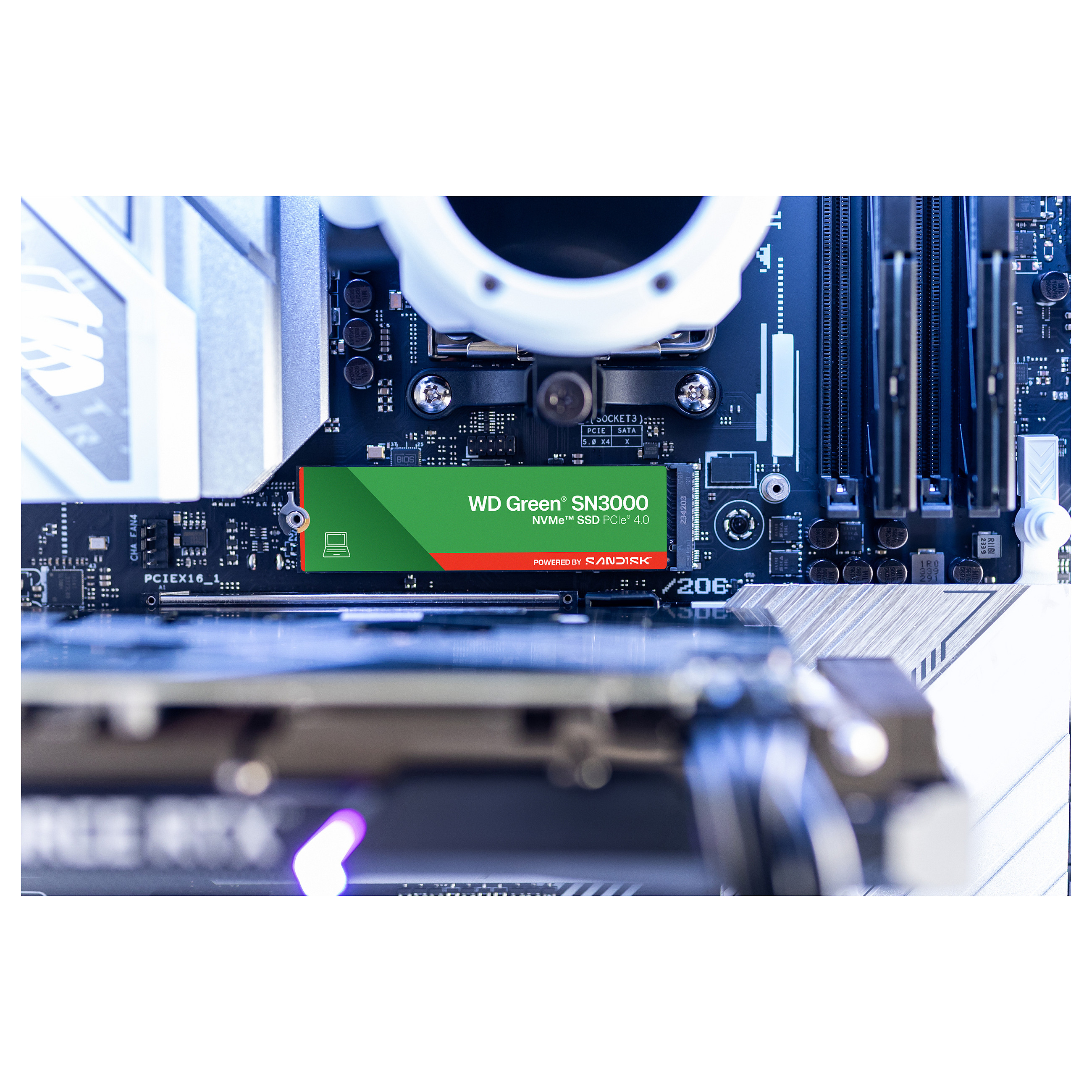 SSD e brendshme M.2 WD Green SN3000 NVMe SSD 500GB 2280 - 10