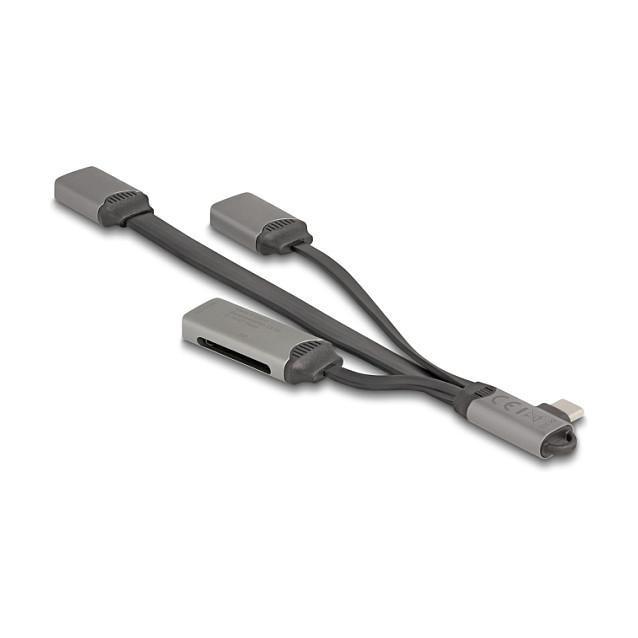 Hub USB DeLOCK 64303 / USB Type-C / 2 Porta USB / SD / Micro SD / 5 Gbps - Gri