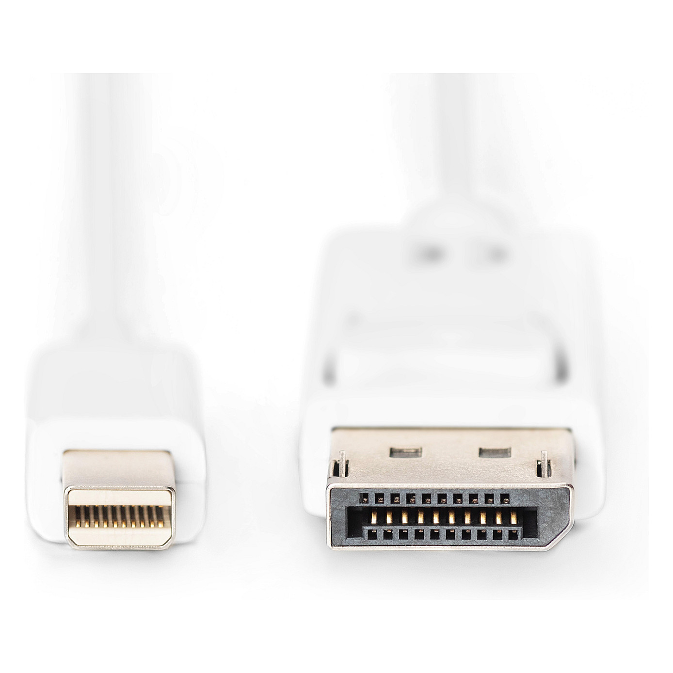 Kabllo DisplayPort DIGITUS Mini to DisplayPort Cable Male/Male 2m DP 1.1a  / Polybag – Bardhë - 2