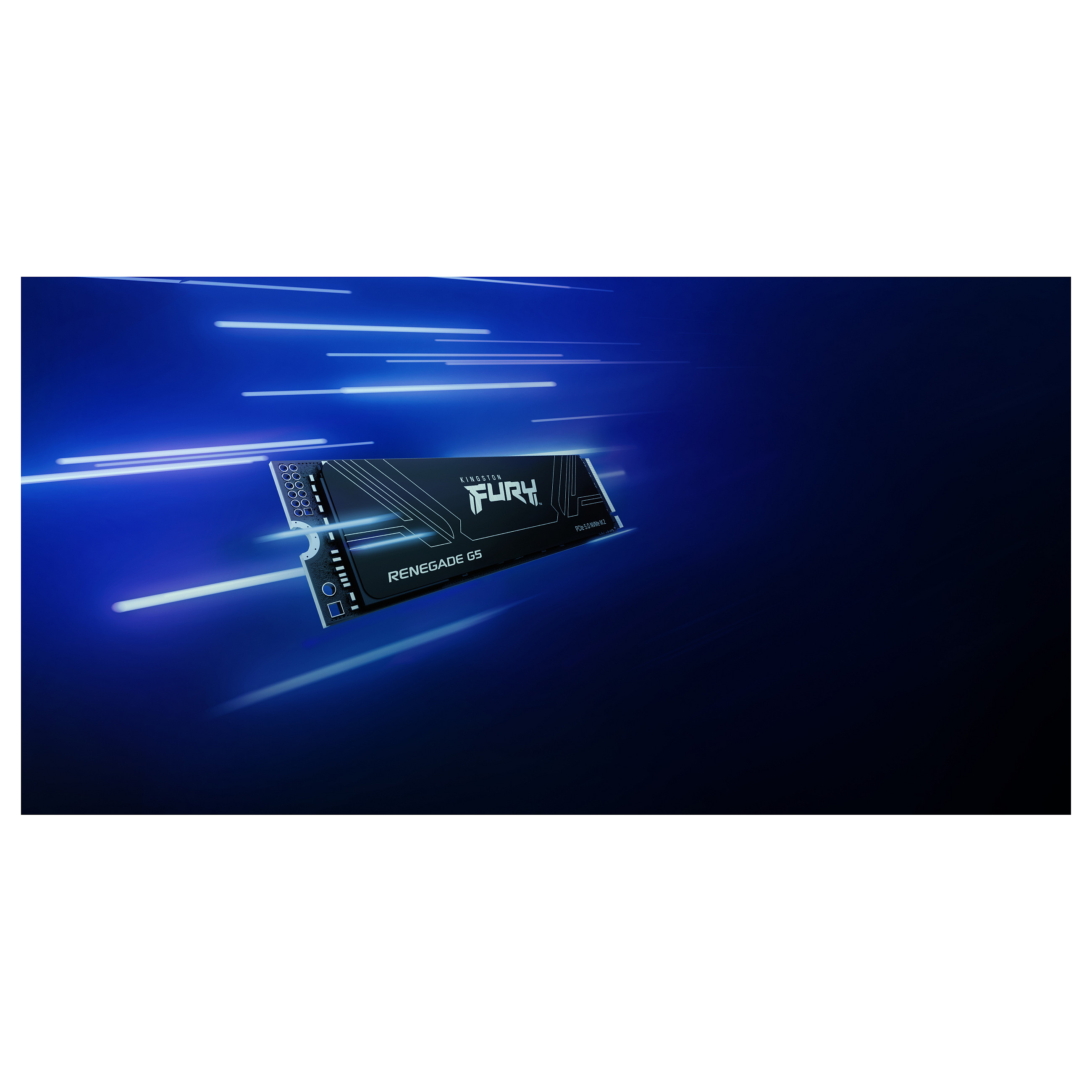 SSD të Brendshme 4TB M.2 FURY RENEGADE G5 2280 - 11