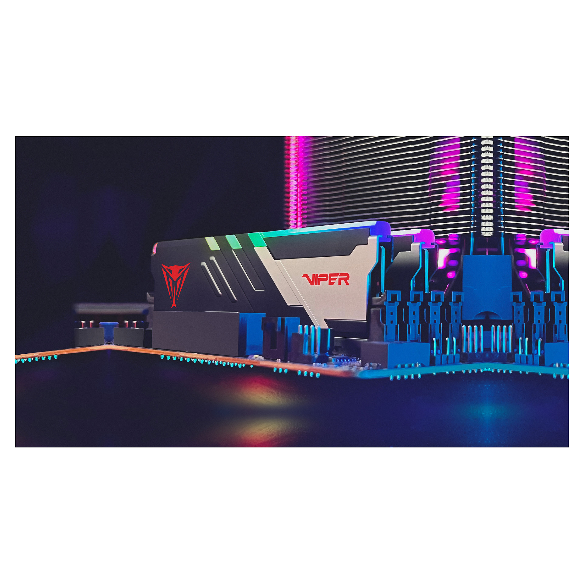 Ram Memorie DDR5 RAM Patriot Viper Venom RGB 32GB (2x16GB) 6000MHz DIMM Dual-Kit / INTEL XMP & AMD EXPO - 5