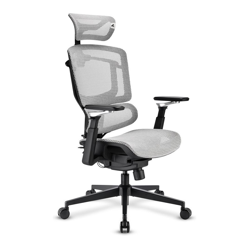 Sharkoon Brostuhl OfficePal C50M (grau) - 2