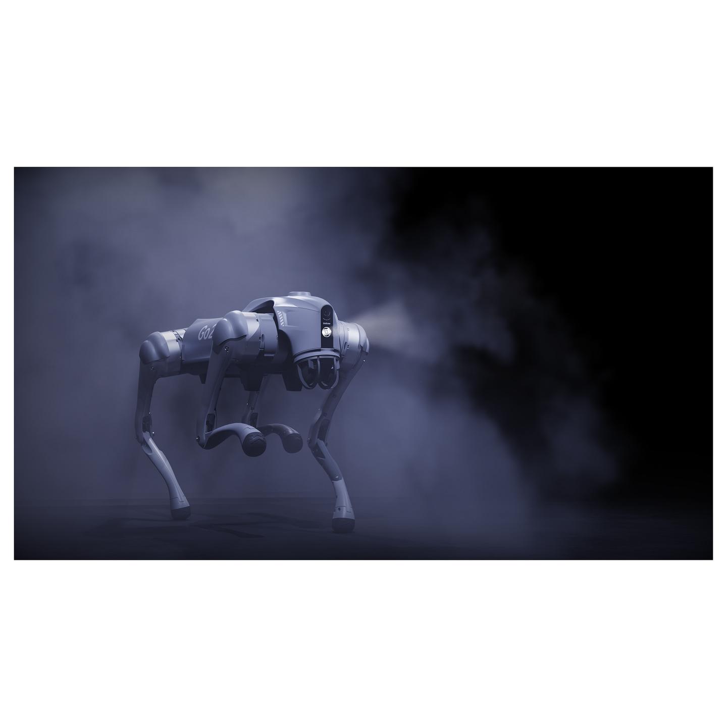 Robot Katërkëmbësh Unitree Go2 Air - Argjendi - 10