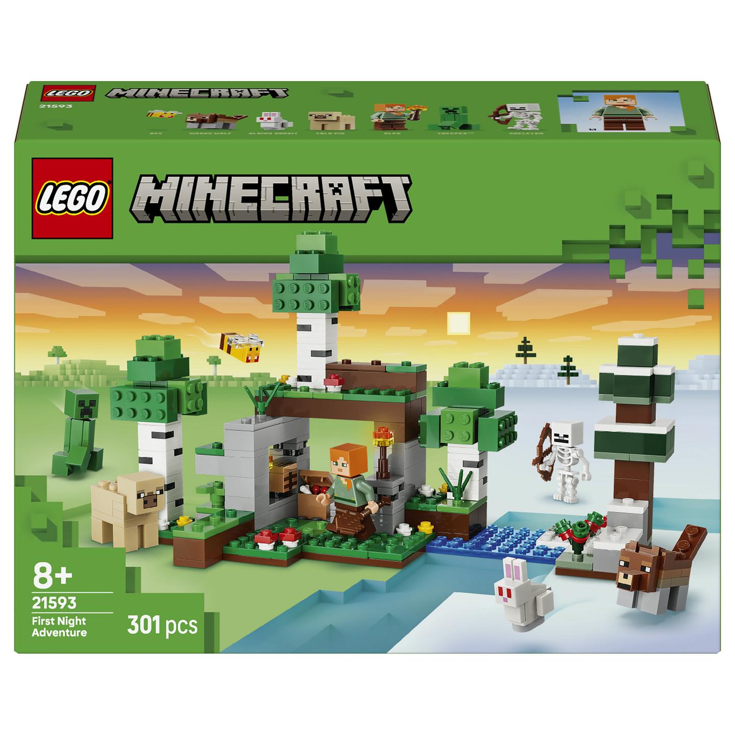 LEGO Minecraft 21593 building toy - 1