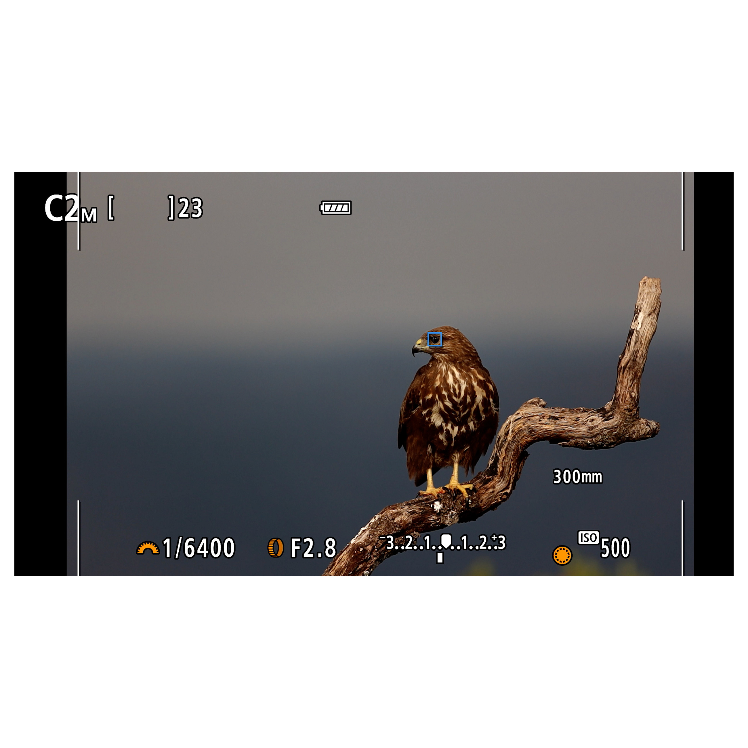 Kamerë digjitale Canon EOS R7 / APS-C / 32.5MP / 4K60p / 651 AF / 15fps / 30fps / RF-S 18-150mm F3.5-6.3 IS STM - Zezë - 6
