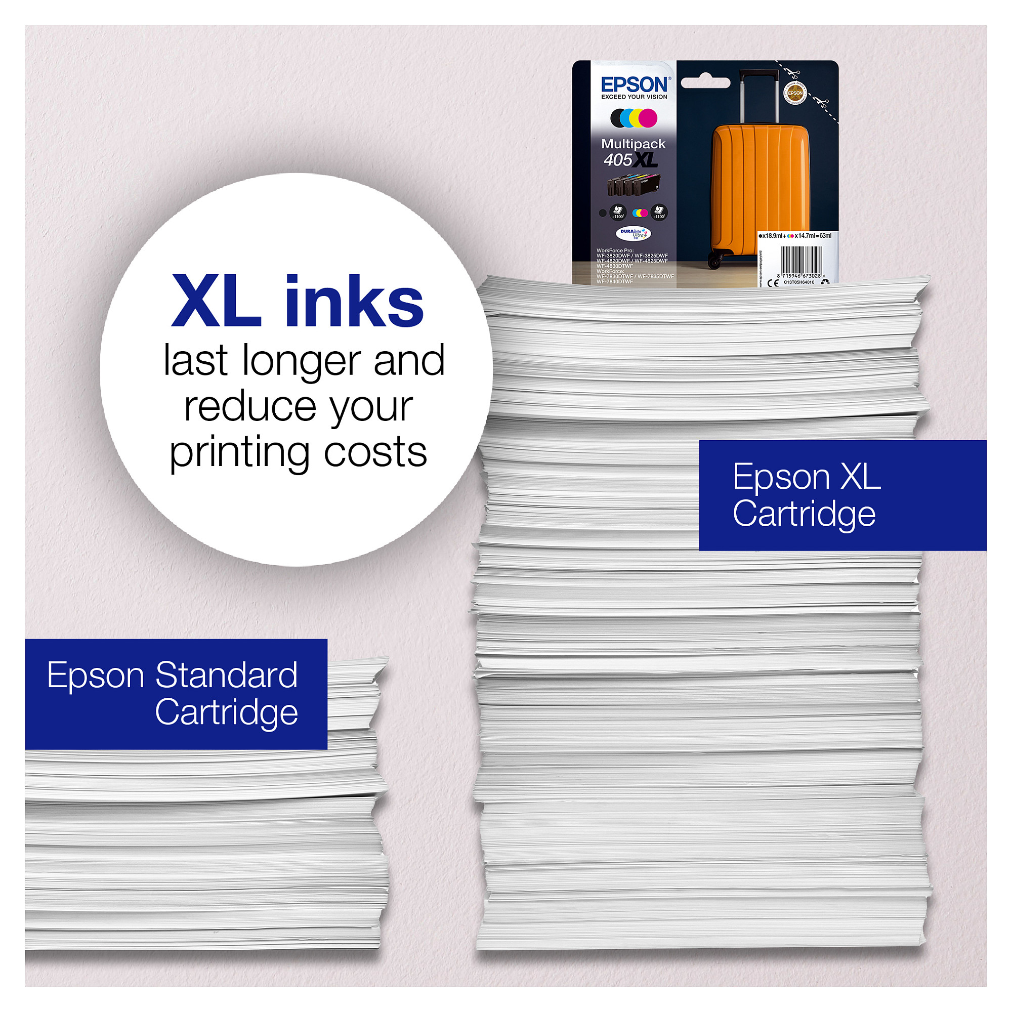INK Epson 405 6LB Singlepack – Blu (DURABrite Ultra) - 3