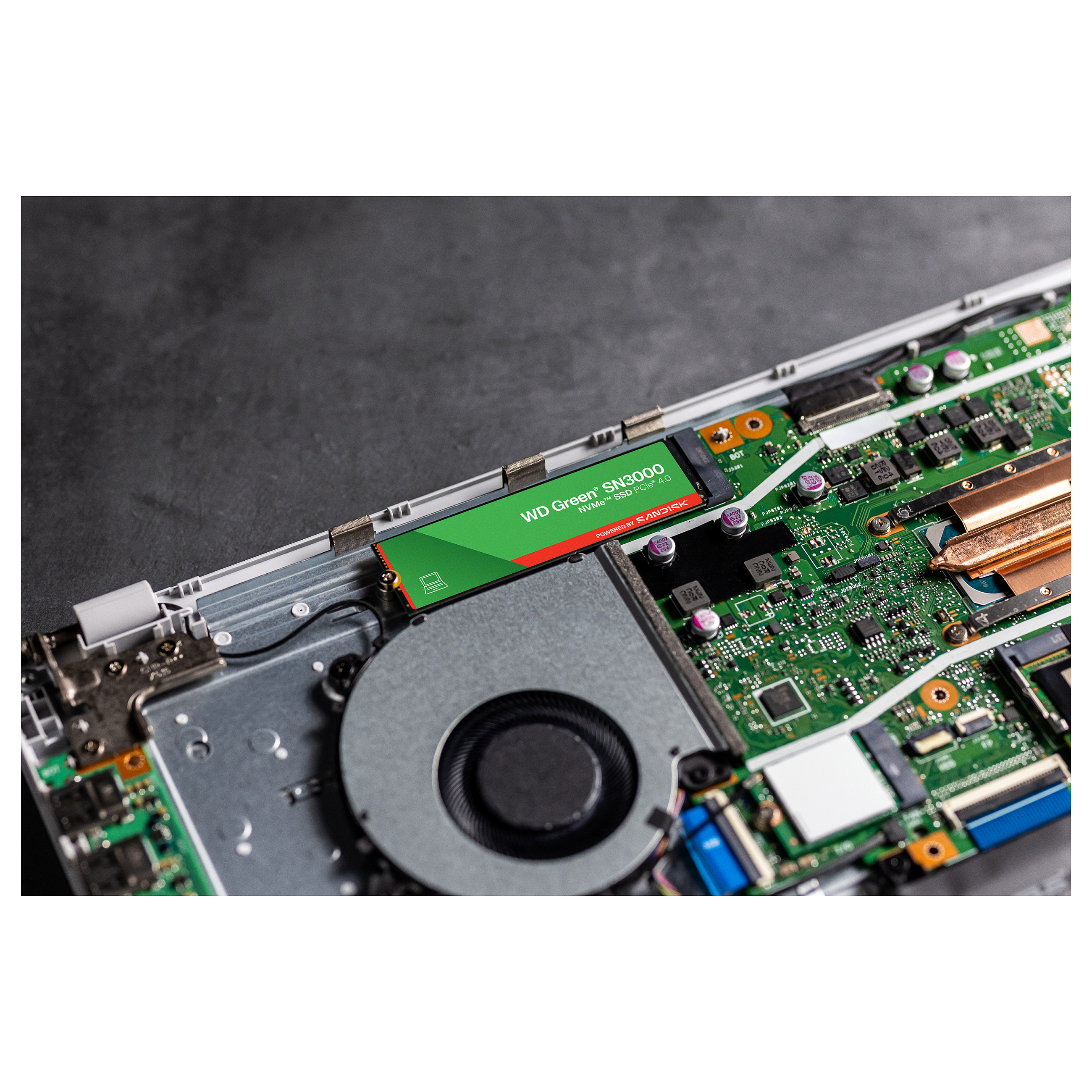 SSD e brendshme M.2 WD Green SN3000 NVMe SSD 500GB 2280 - 9