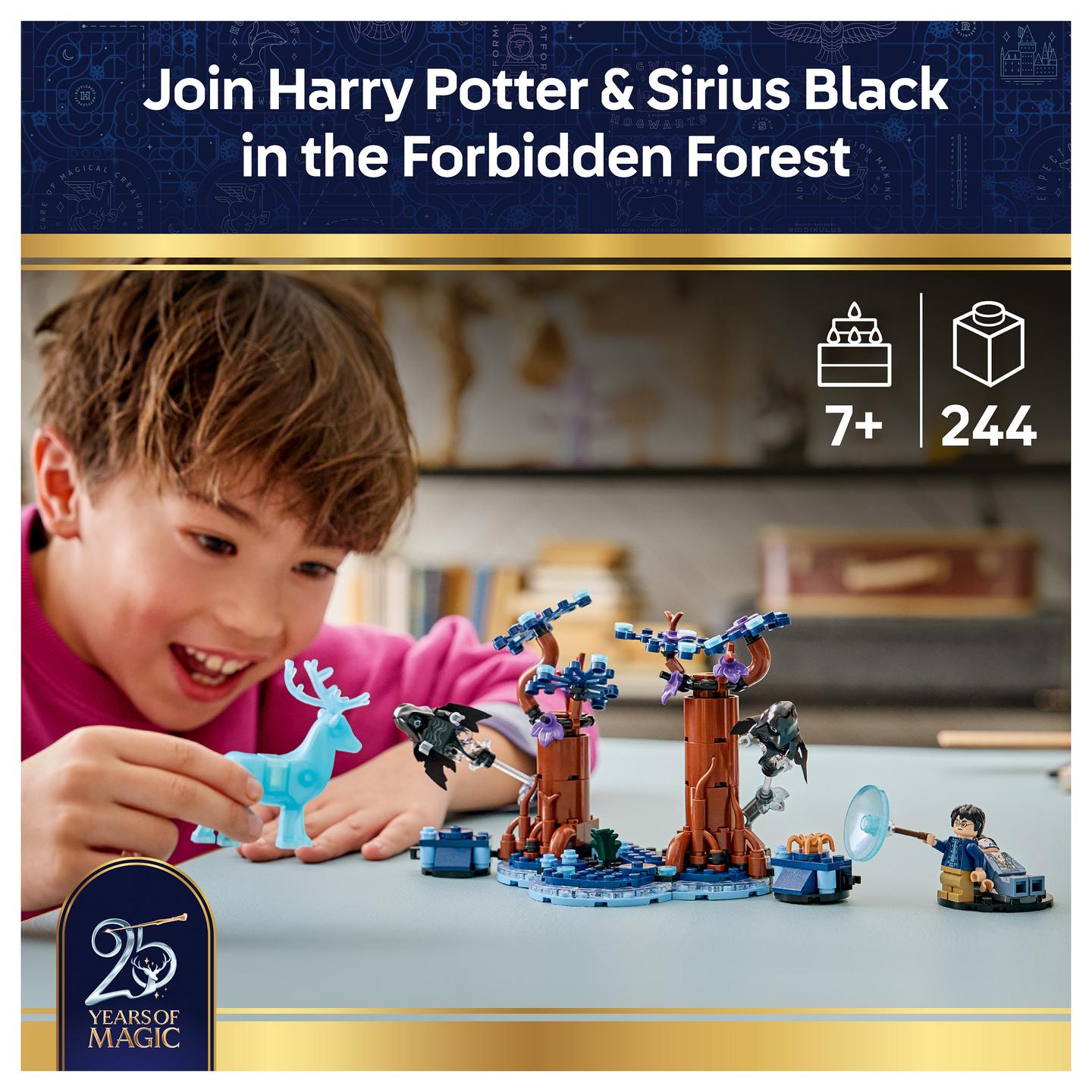 LEGO Harry Potter Verbotener Wald: Expecto Patronum - 23