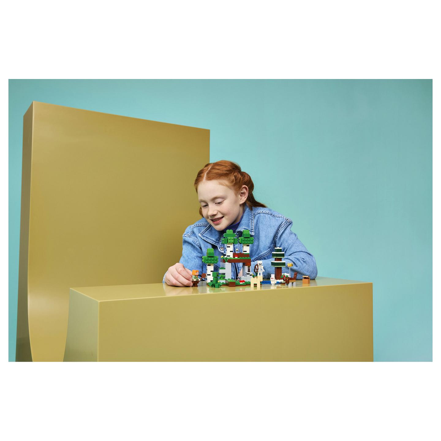 LEGO Minecraft 21593 building toy - 5