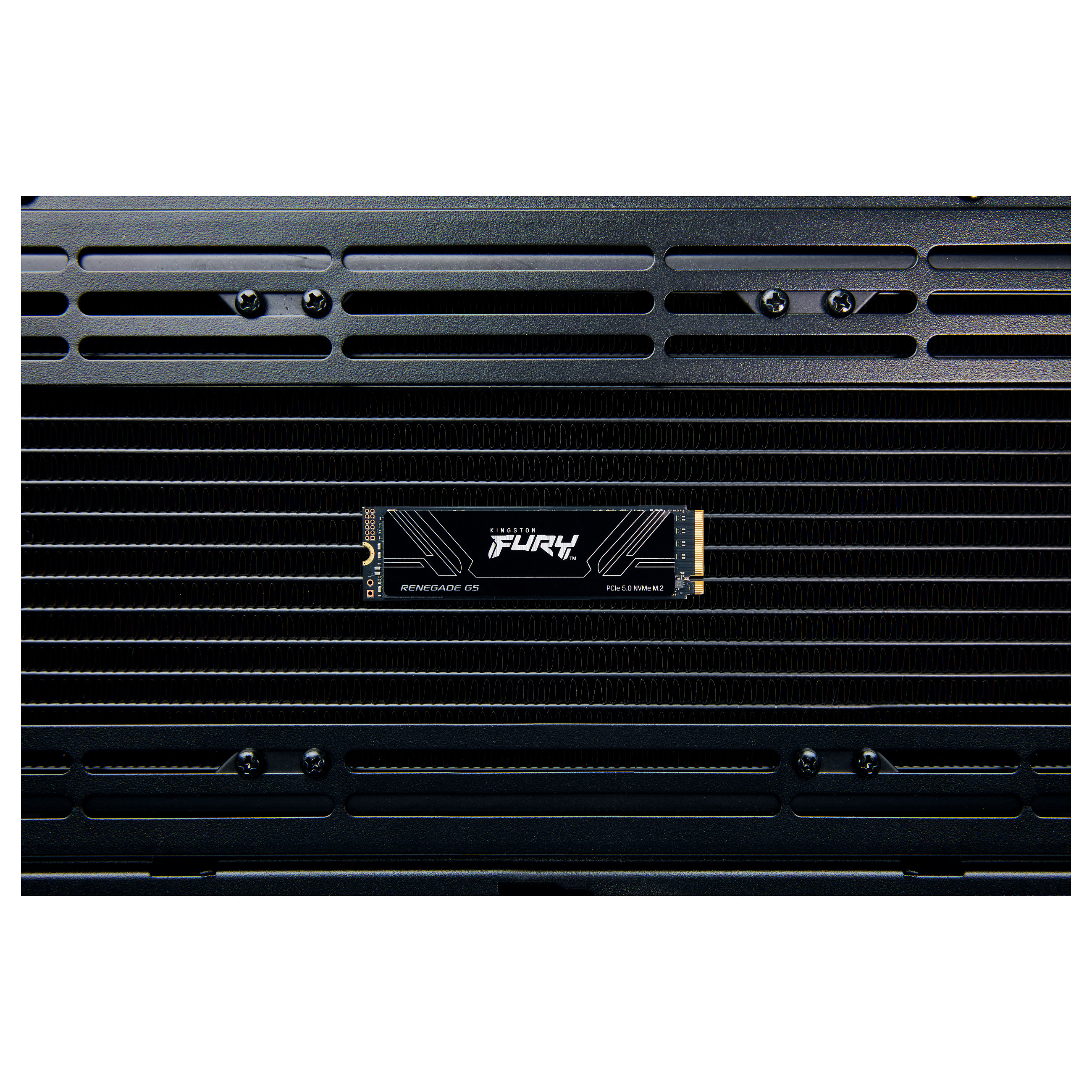 SSD të Brendshme 4TB M.2 FURY RENEGADE G5 2280 - 7