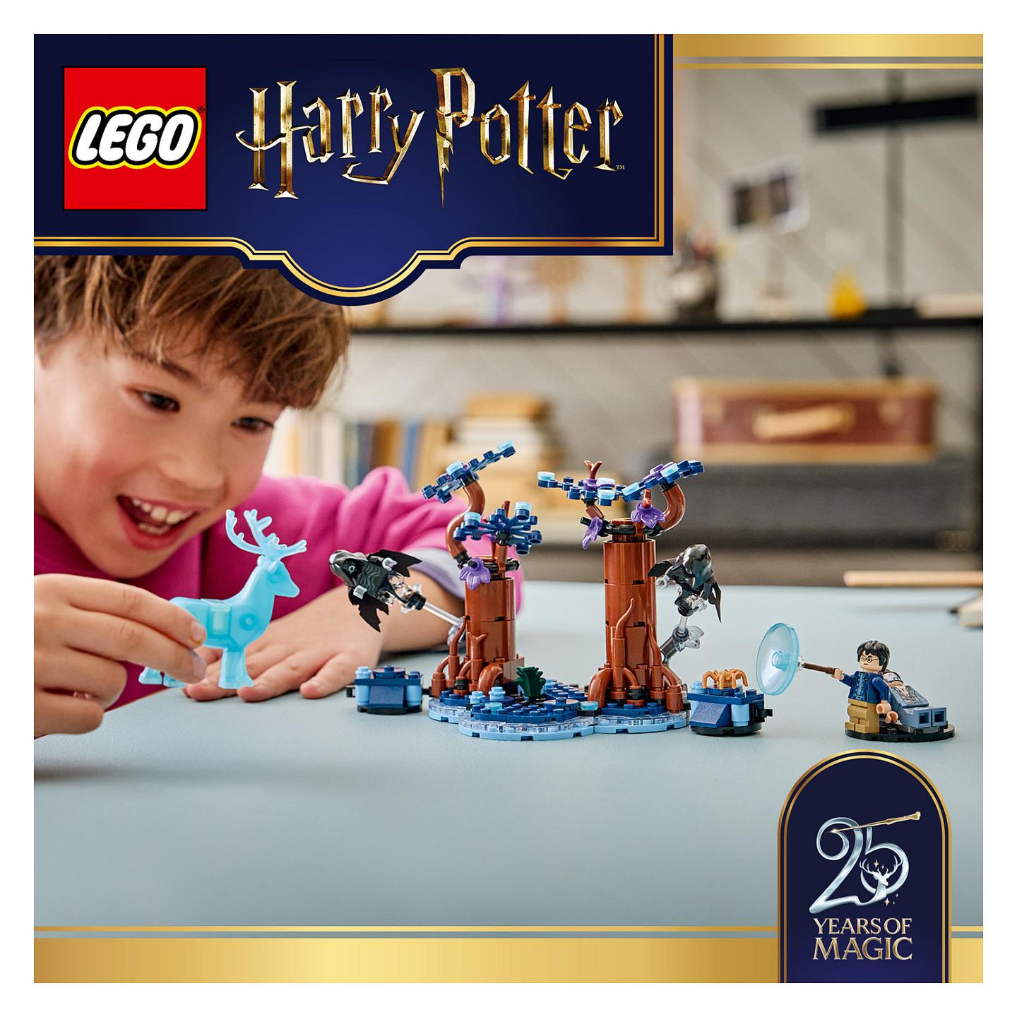 LEGO Harry Potter Verbotener Wald: Expecto Patronum - 22