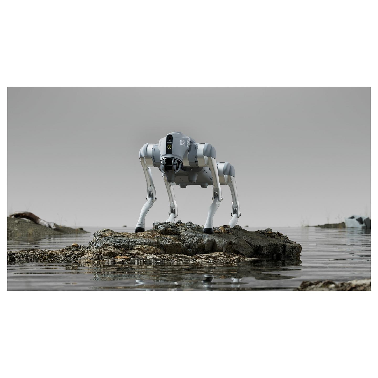 Robot Katërkëmbësh Unitree Go2 Air - Argjendi - 4