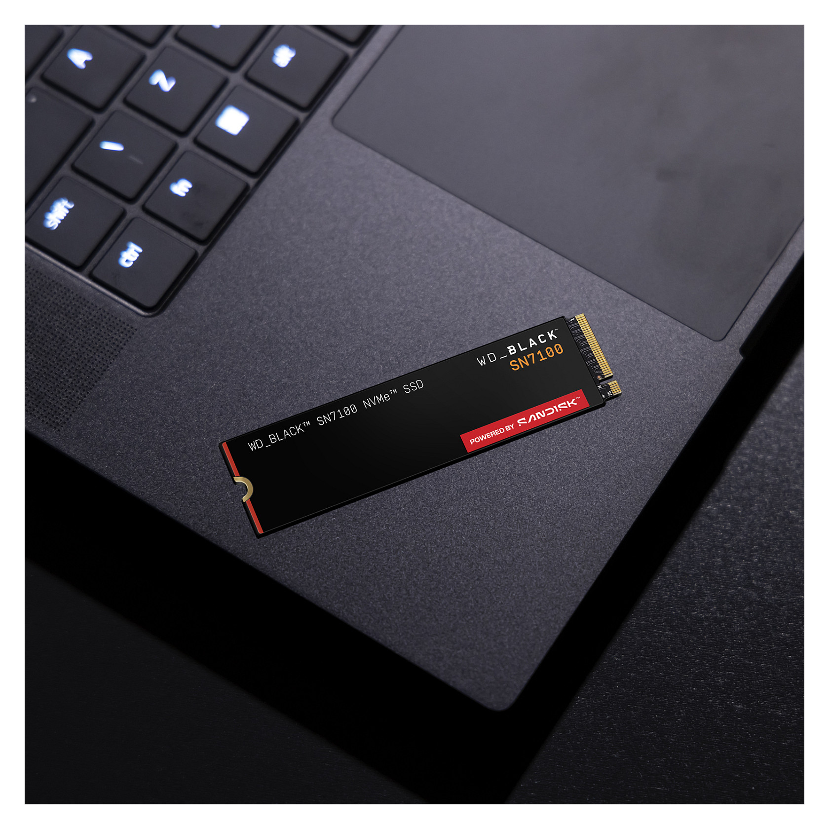 SSD WD Black SN7100 M.2 500GB NVMe PCIe 4.0 x 4 - 8