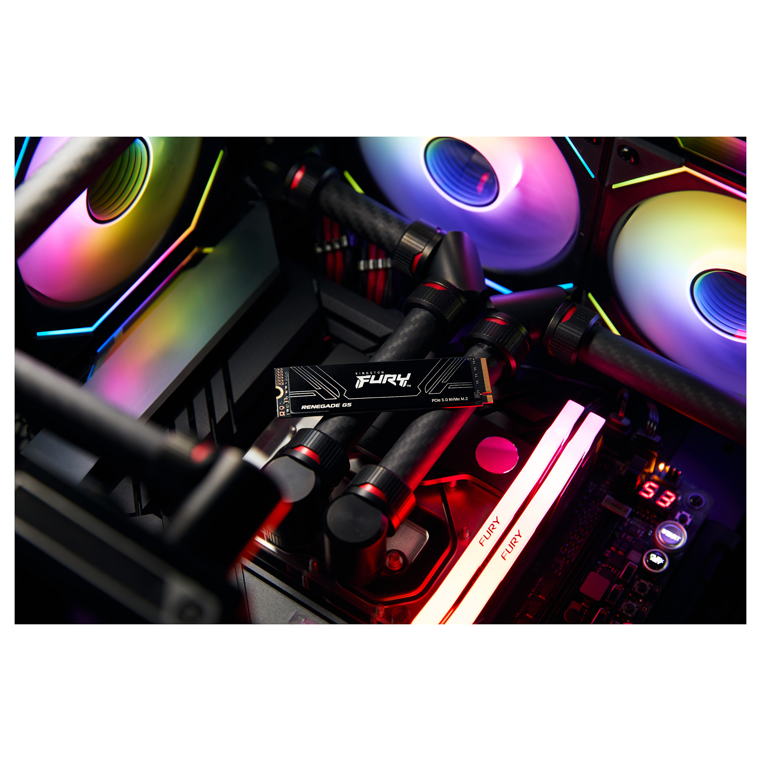 SSD të Brendshme 4TB M.2 FURY RENEGADE G5 2280 - 9