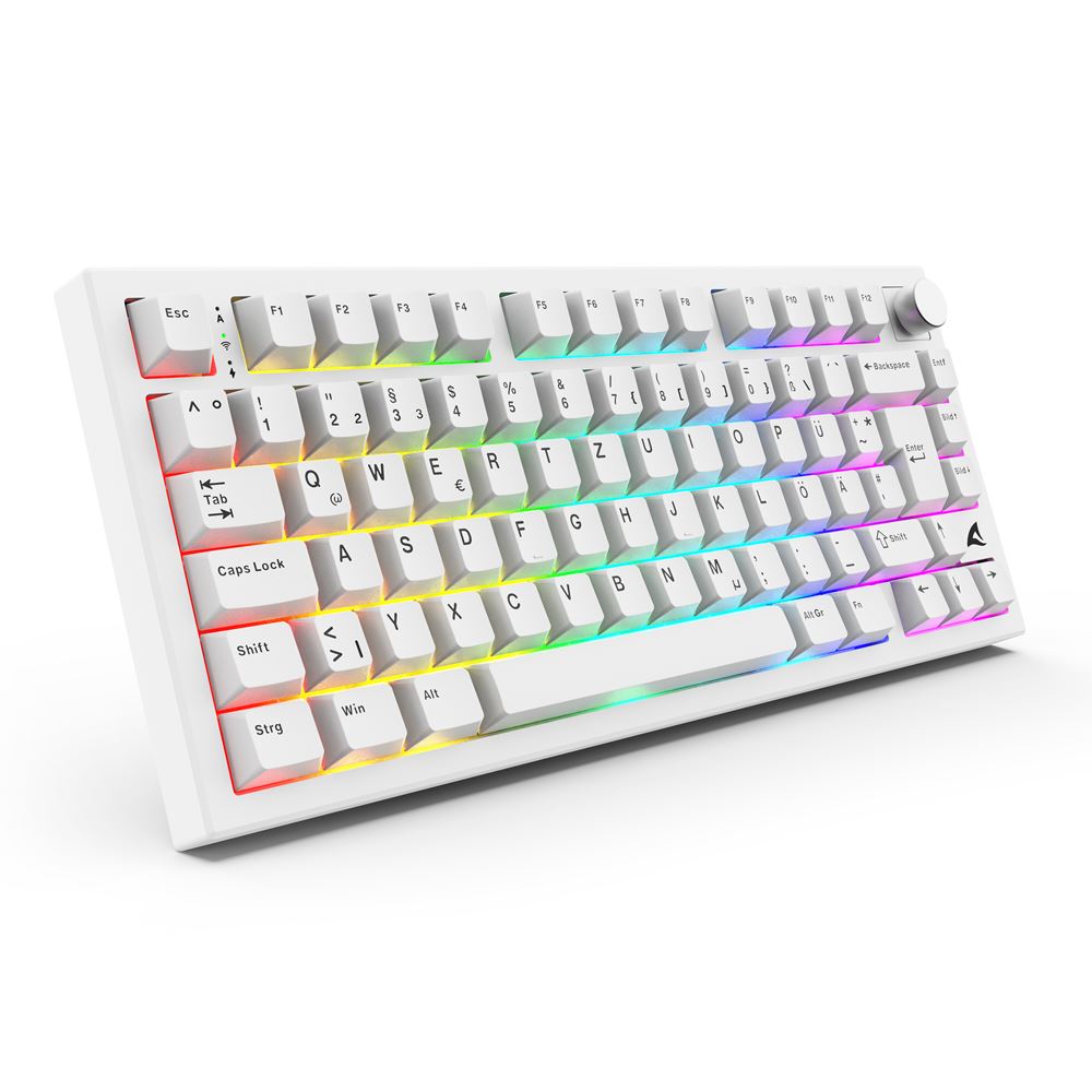 Tastierë Gaming Sharkoon SKILLER SGK55W / Wired & Wireless / QWERTZ / Mekanike / ARGB / 75% / Hot-Swap - Bardhë