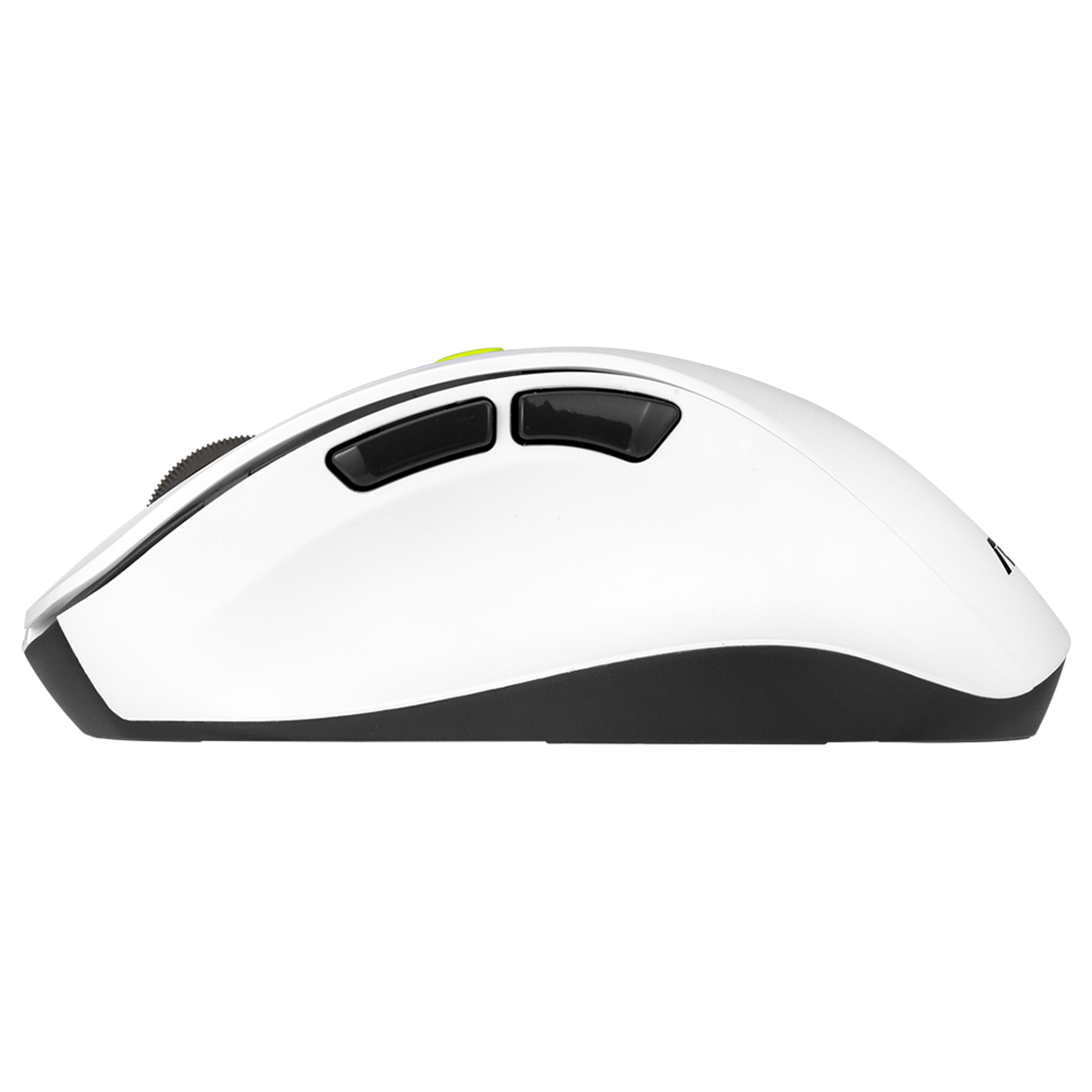 Maus pa kabllo ASUS MD105 / 2400 DPI / Wireless + Bluetooth - Bardhë/Gjelbër - 4