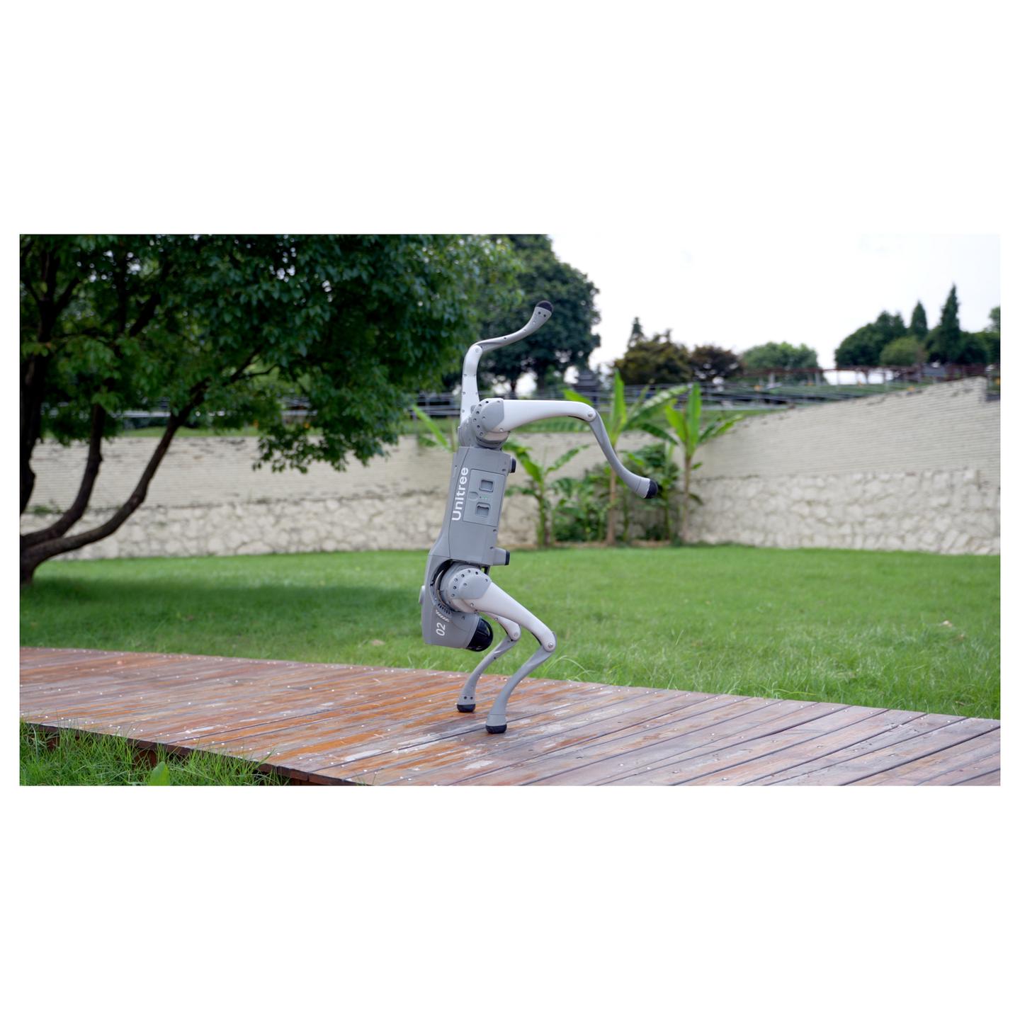 Robot Katërkëmbësh Unitree Go2 Air - Argjendi - 8