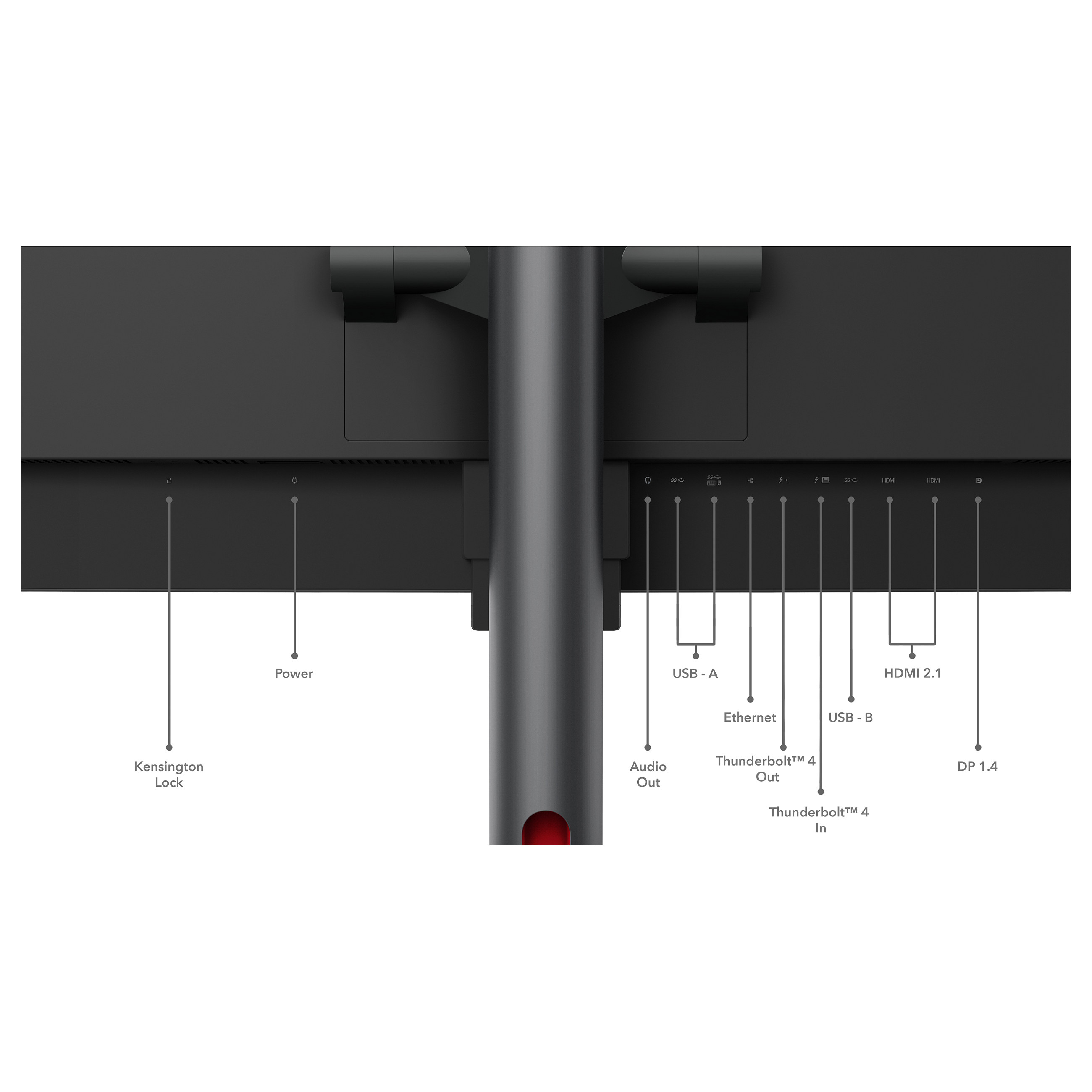 Monitor i lakuar Lenovo ThinkVision P49w-30 / 49" Dual Quad HD 60 Hz 6 ms IPS Curved / HDMI DP USB-C / e zezë - 20