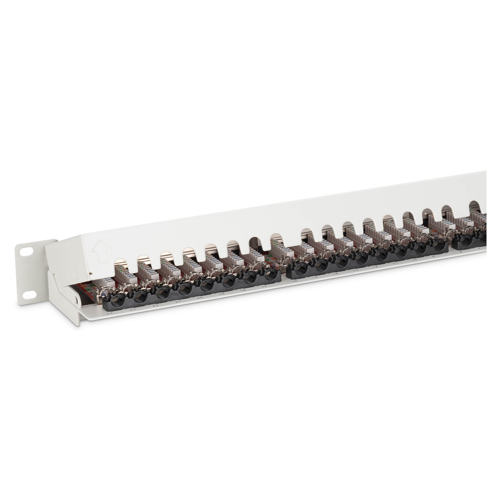 Aksesorë për rrjet DIGITUS / Patch Panel / 1U / 24-Port / Cat6a Shielded - Gri e hapur - 3