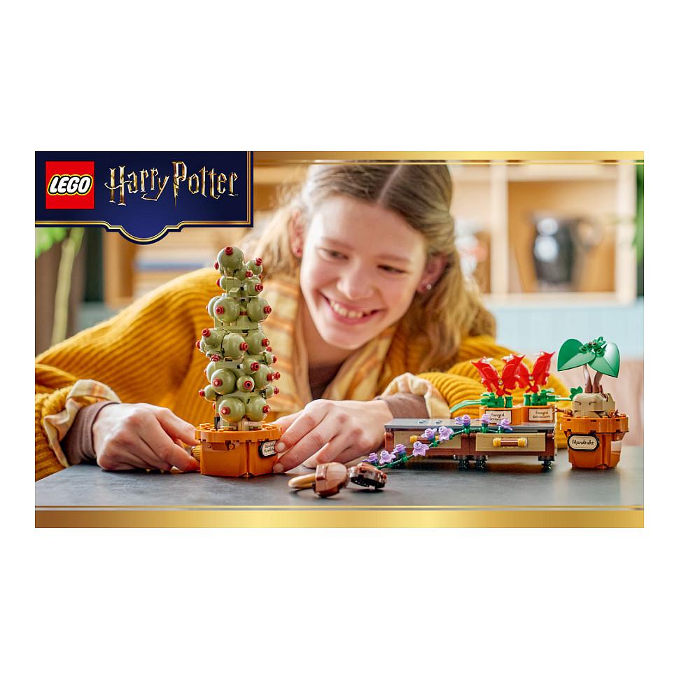LEGO Harry Potter Schloss Hogwarts: Kräuterkunde-Pflanzen - 23