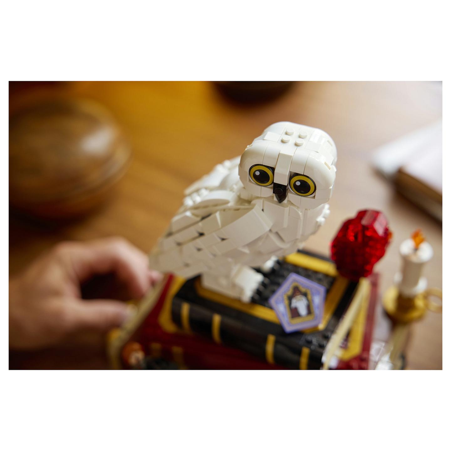 LEGO Harry Potter Sorcerer's Stone – Collectors' Edition 76466 - 19
