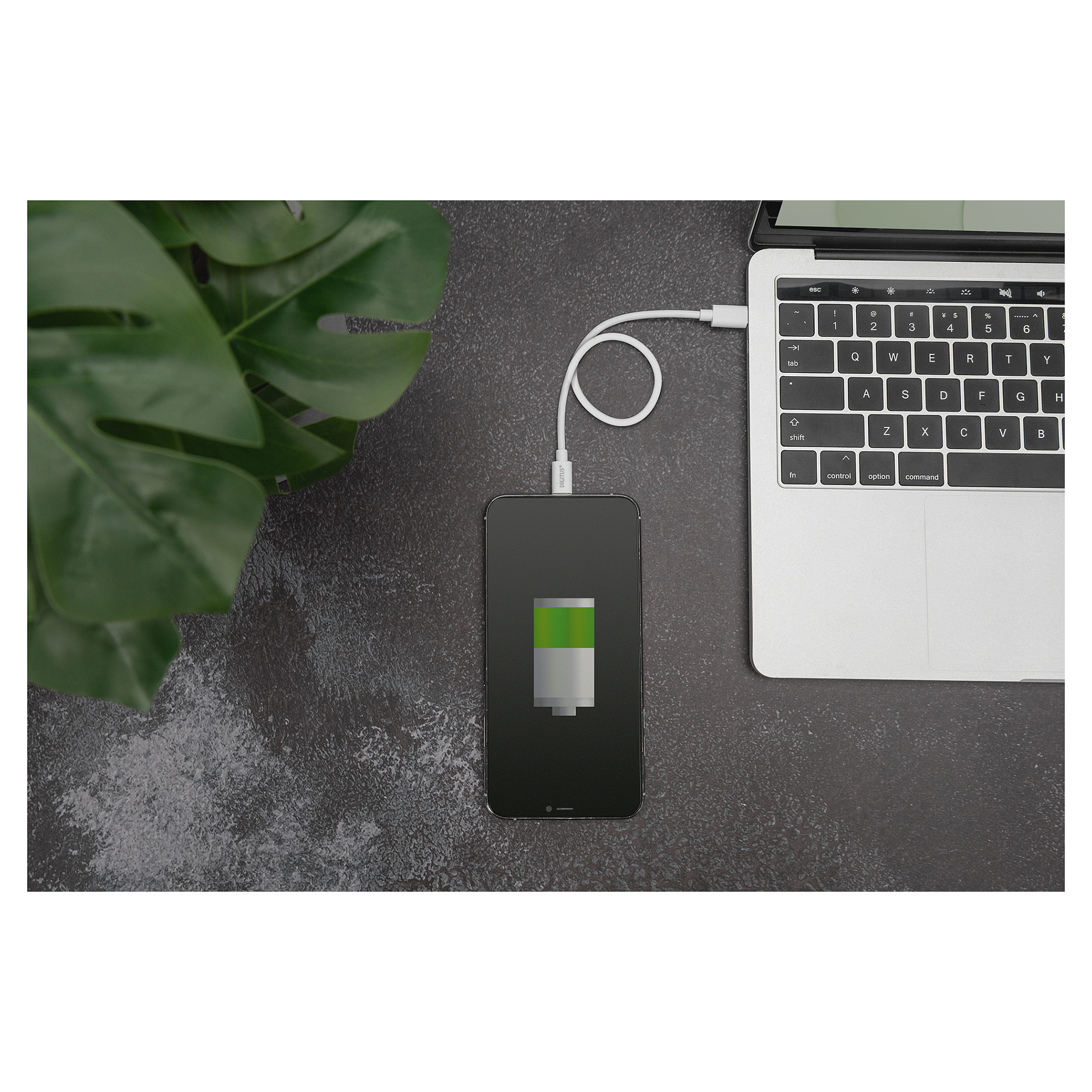Kabllo USB DIGITUS USB‑C në Lightning (M/M)/ MFI/ 2m - Bardhë - 2