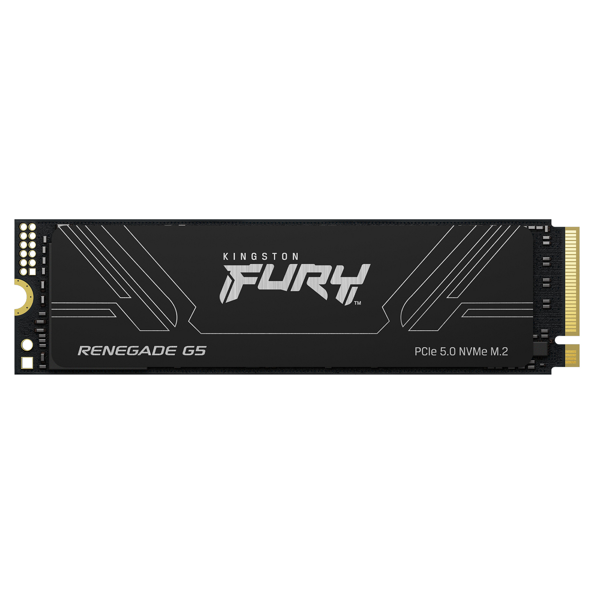 SSD të Brendshme M.2 2TB FURY RENEGADE G5 2280 - 1